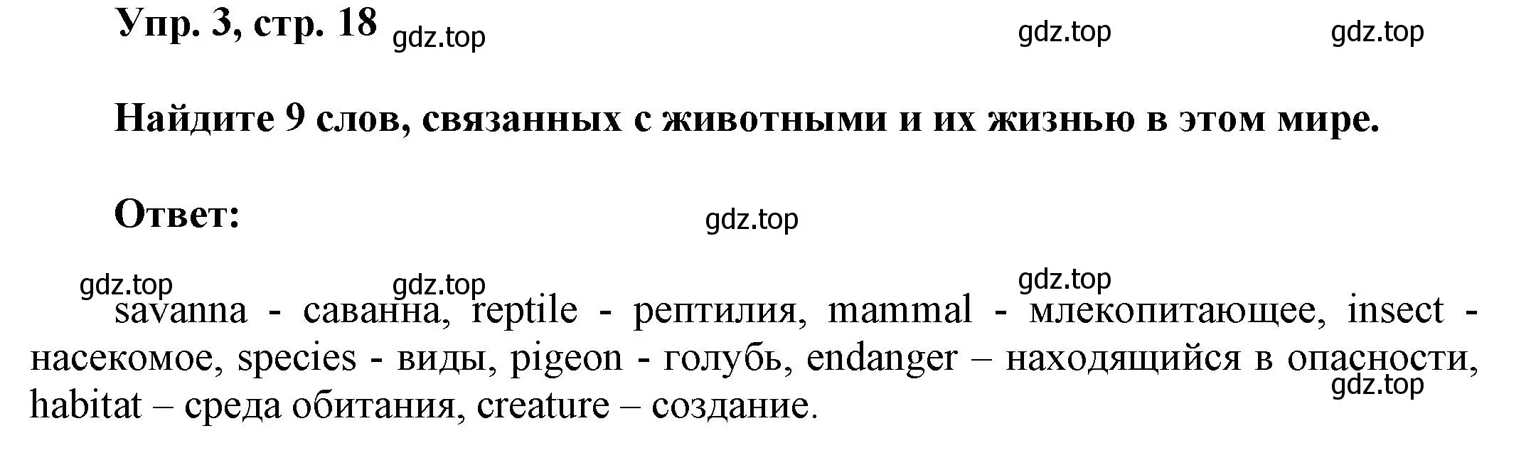 Решение 2. номер 3 (страница 18) гдз по английскому языку 6 класс Афанасьева, Михеева, рабочая тетрадь