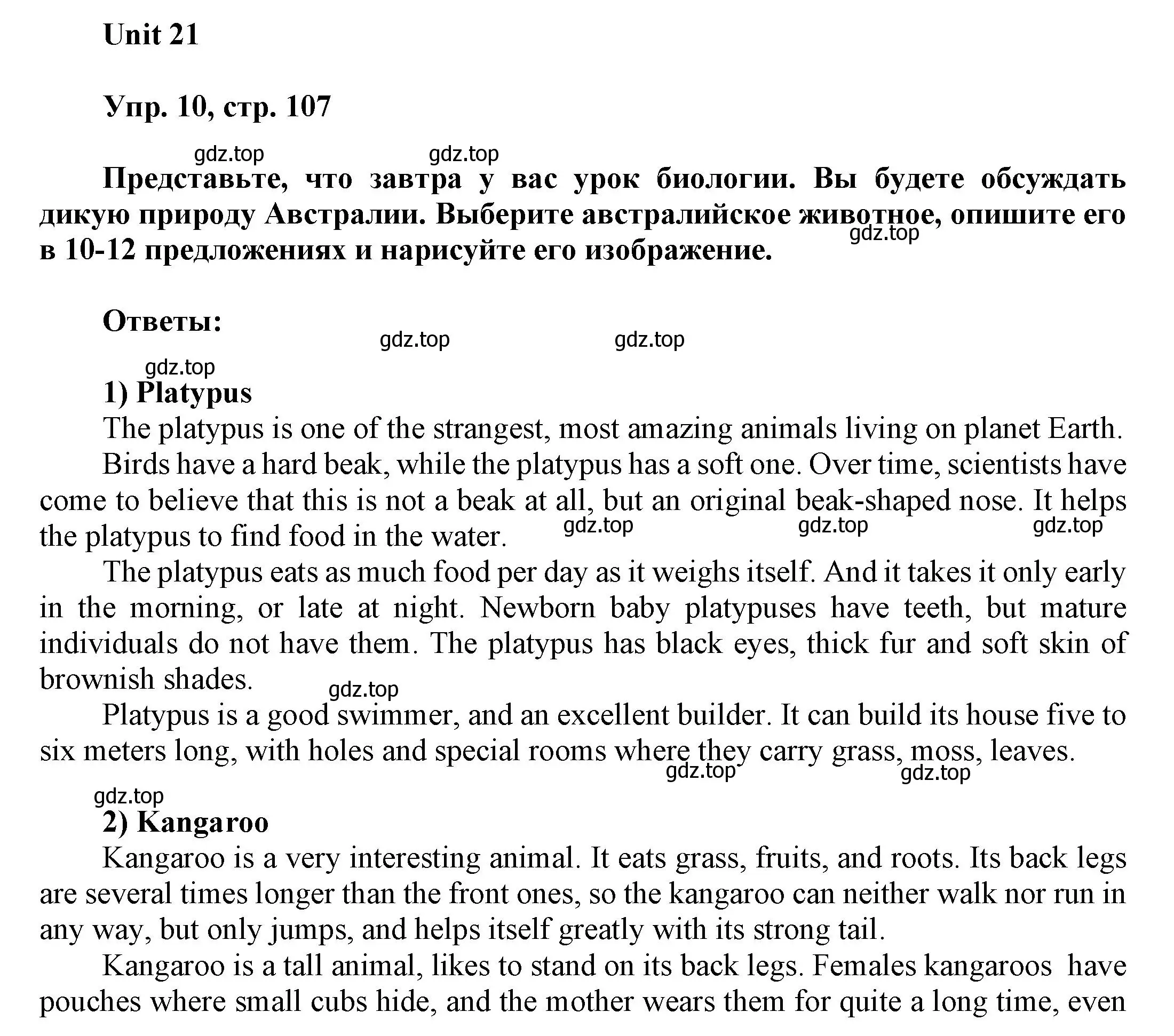 Решение 2. номер 10 (страница 107) гдз по английскому языку 6 класс Афанасьева, Михеева, рабочая тетрадь