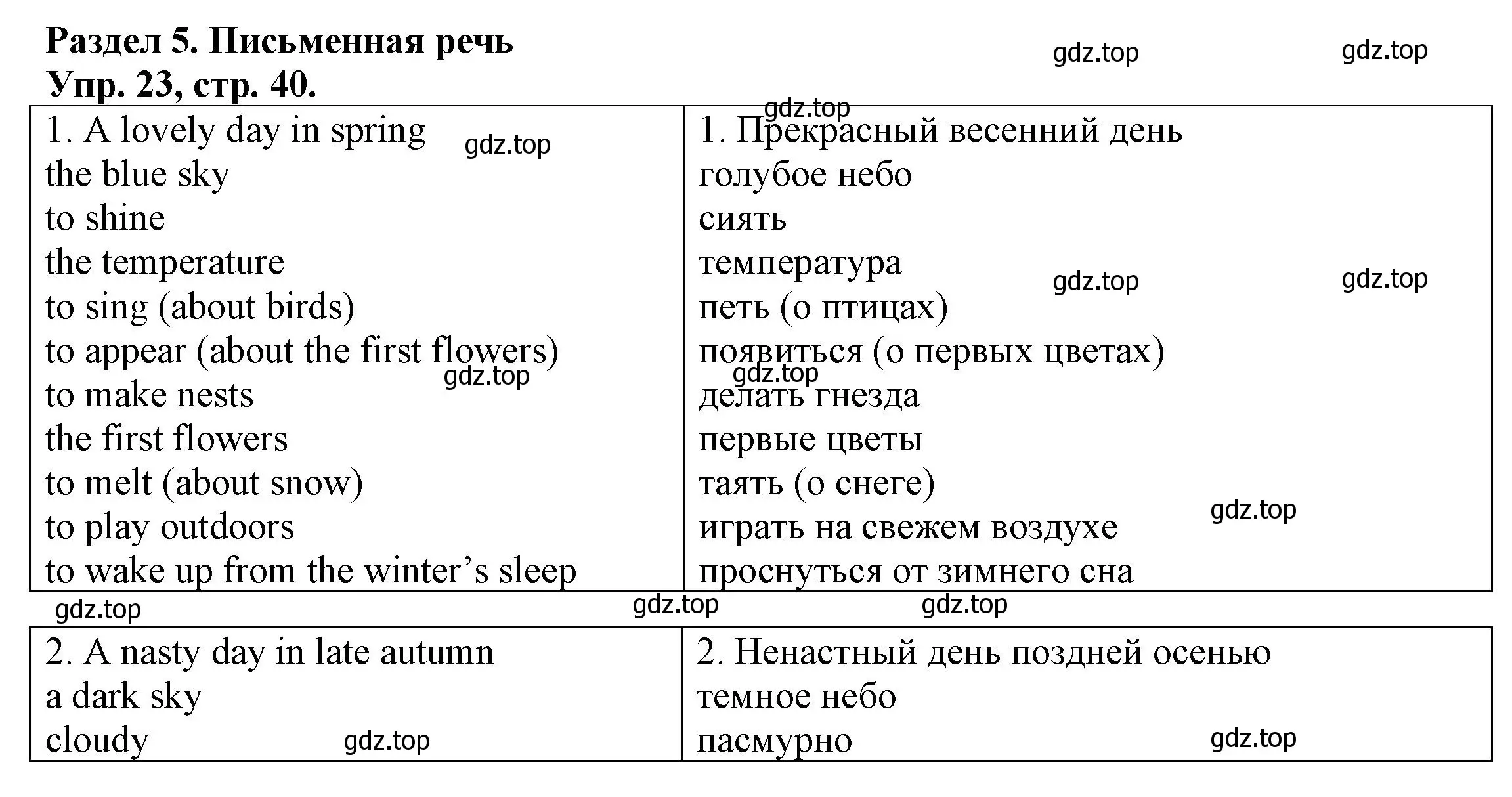 Решение номер 23 (страница 40) гдз по английскому языку 6 класс Афанасьева, Михеева, тренировочные упражнения в формате ОГЭ