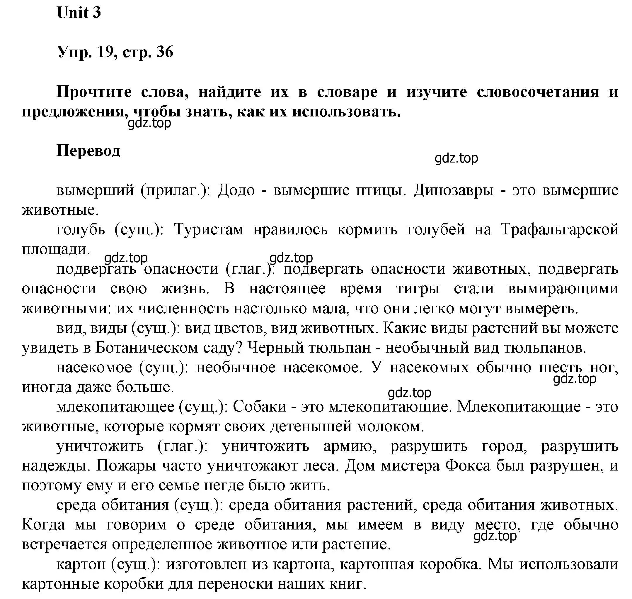 Решение номер 19 (страница 36) гдз по английскому языку 6 класс Афанасьева, Михеева, учебное пособие 1 часть