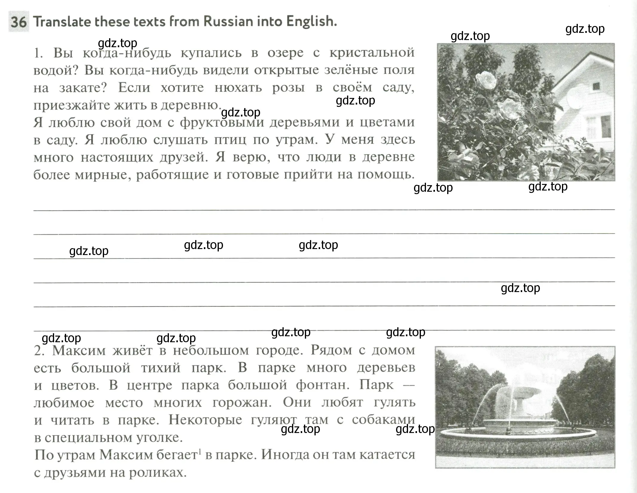 Условие номер 36 (страница 20) гдз по английскому языку 6 класс Биболетова, Денисенко, рабочая тетрадь