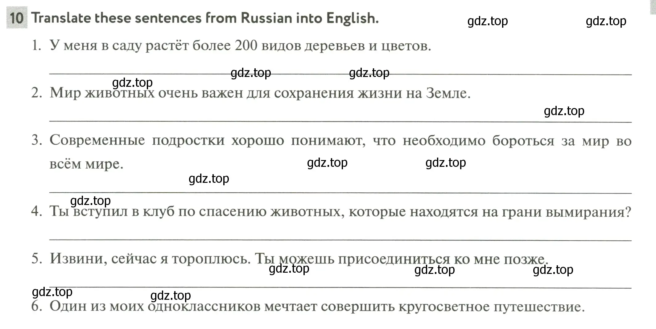 Условие номер 10 (страница 33) гдз по английскому языку 6 класс Биболетова, Денисенко, рабочая тетрадь