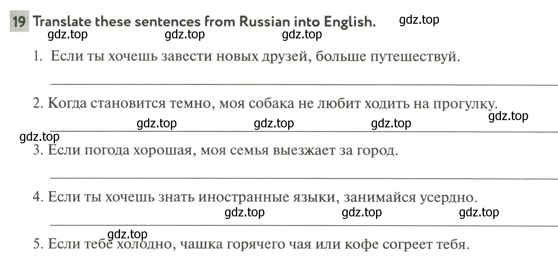 Условие номер 19 (страница 55) гдз по английскому языку 6 класс Биболетова, Денисенко, рабочая тетрадь