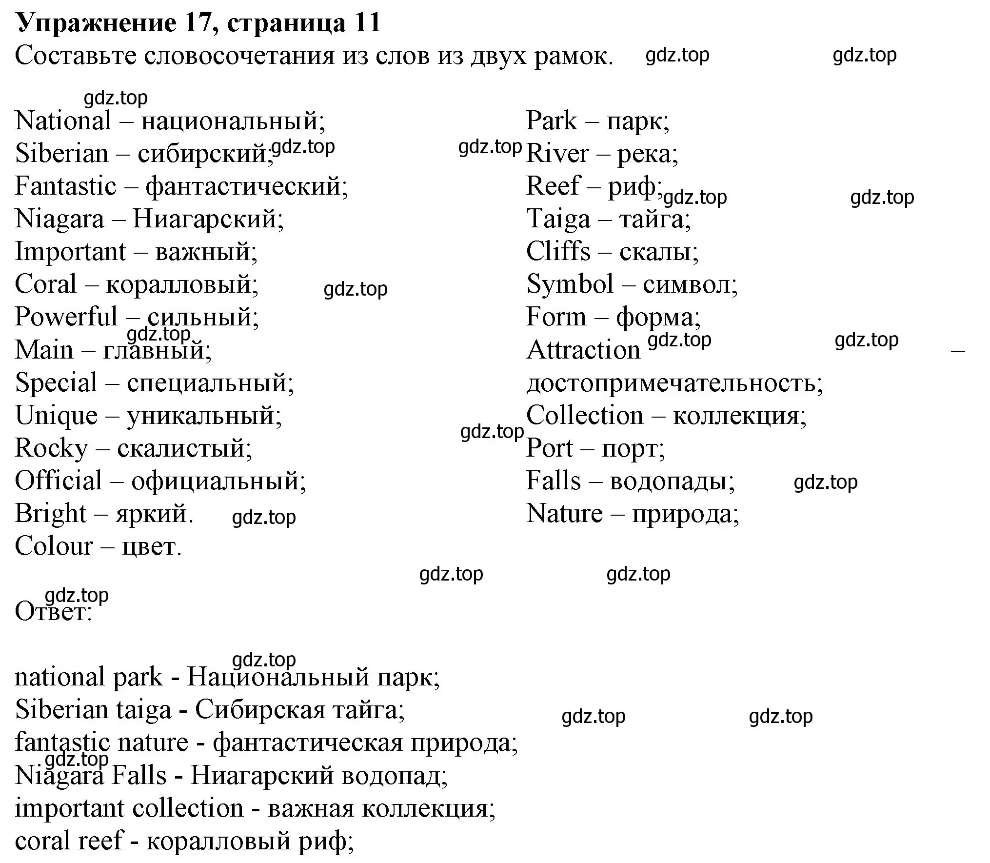 Решение номер 17 (страница 11) гдз по английскому языку 6 класс Биболетова, Денисенко, рабочая тетрадь