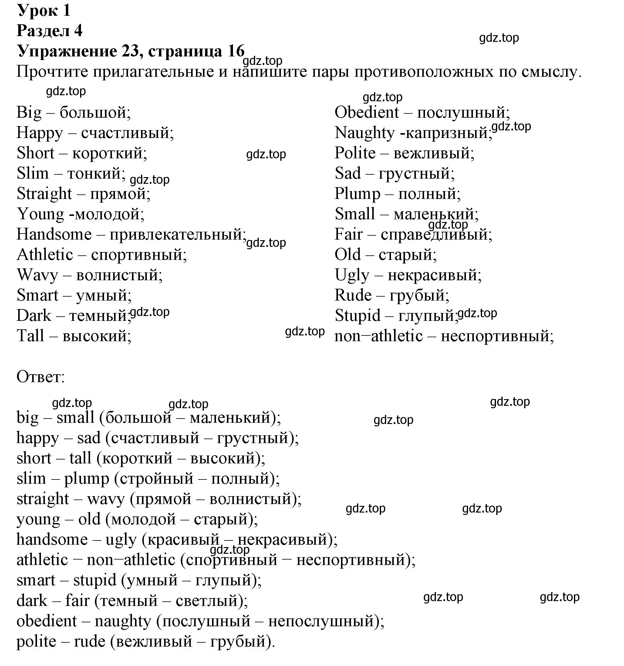 Решение номер 23 (страница 16) гдз по английскому языку 6 класс Биболетова, Денисенко, рабочая тетрадь