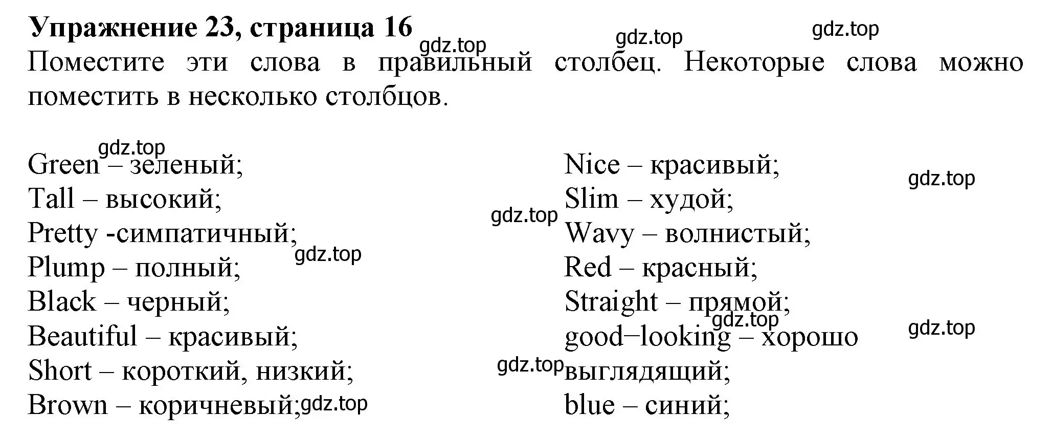 Решение номер 24 (страница 16) гдз по английскому языку 6 класс Биболетова, Денисенко, рабочая тетрадь