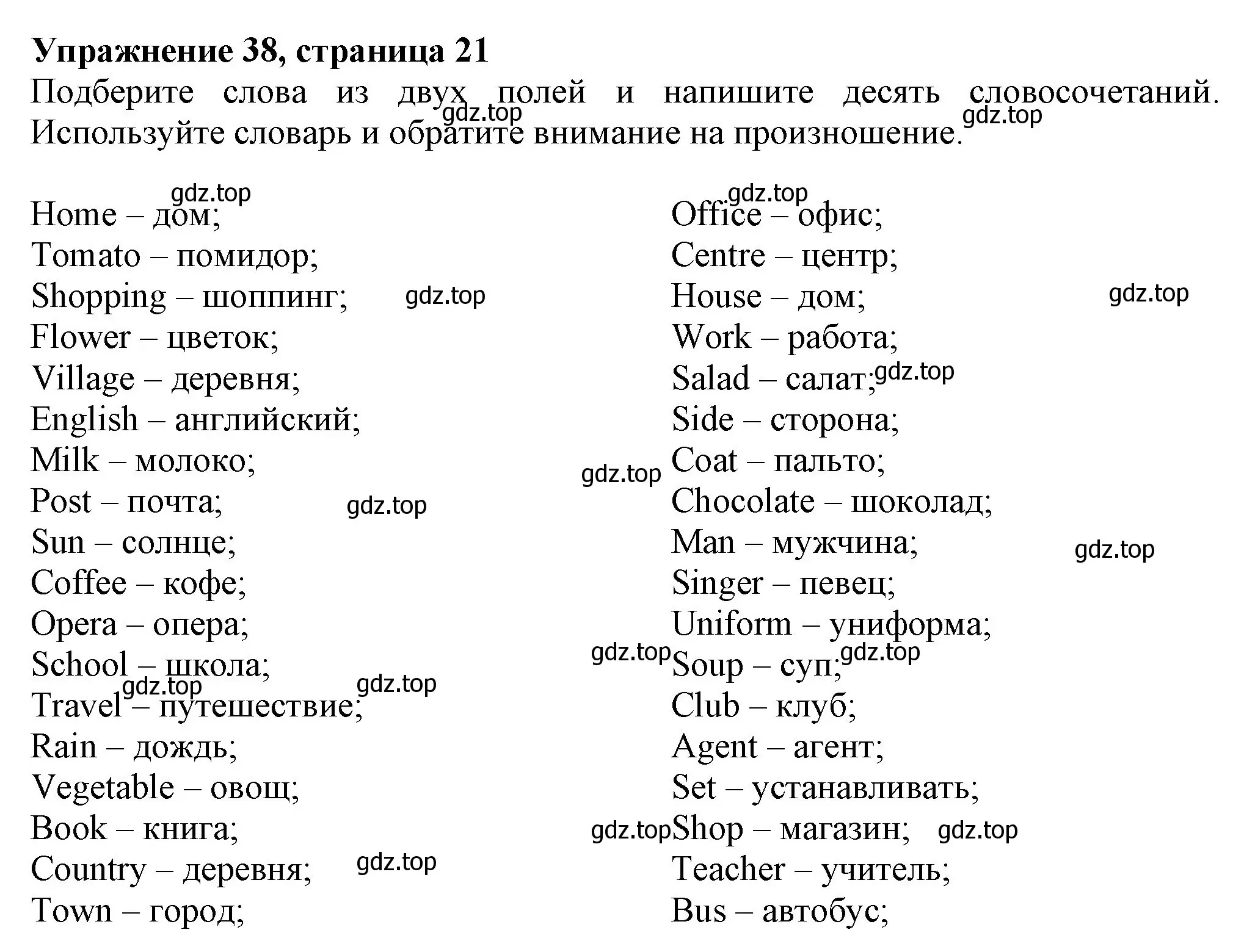 Решение номер 38 (страница 21) гдз по английскому языку 6 класс Биболетова, Денисенко, рабочая тетрадь