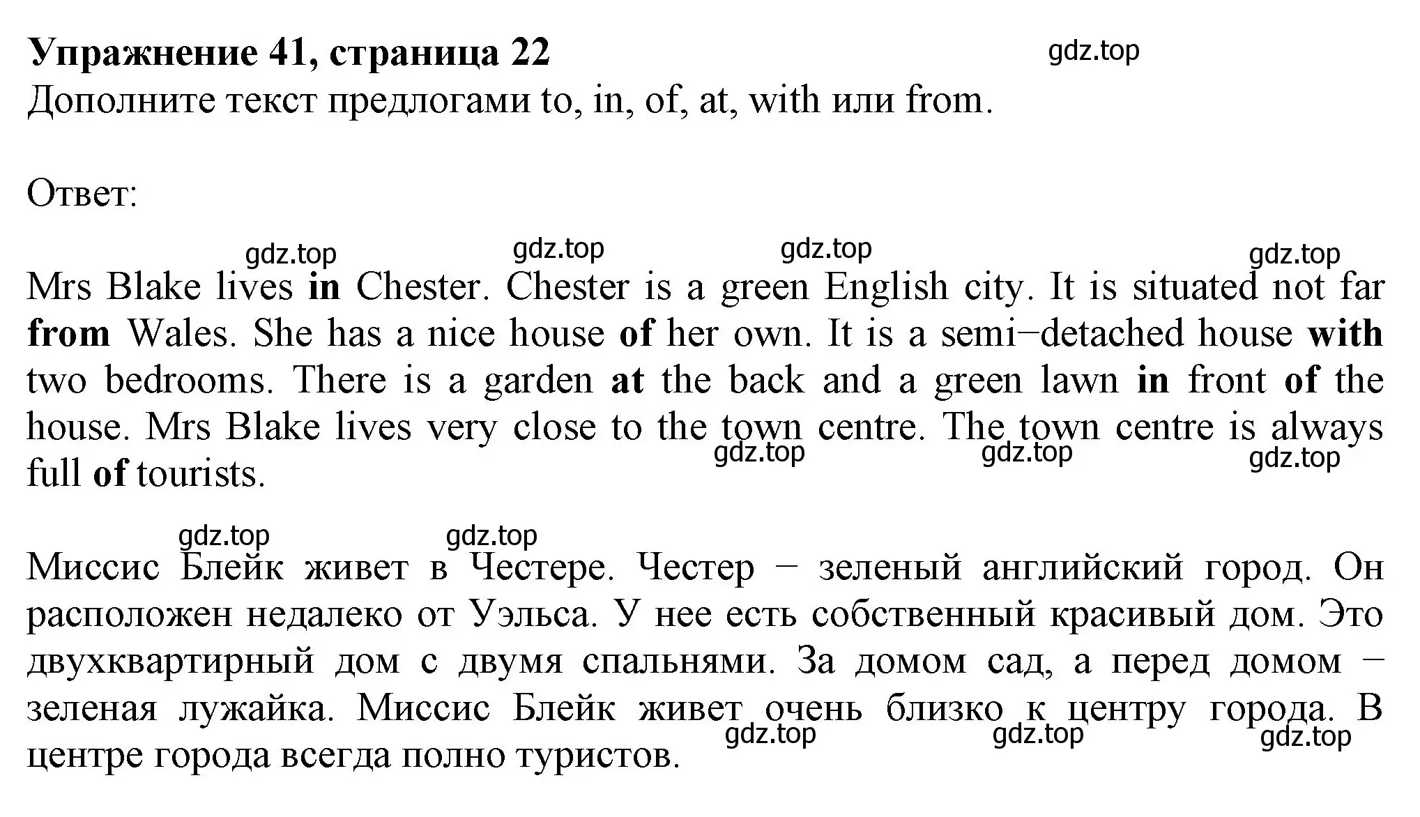 Решение номер 41 (страница 22) гдз по английскому языку 6 класс Биболетова, Денисенко, рабочая тетрадь