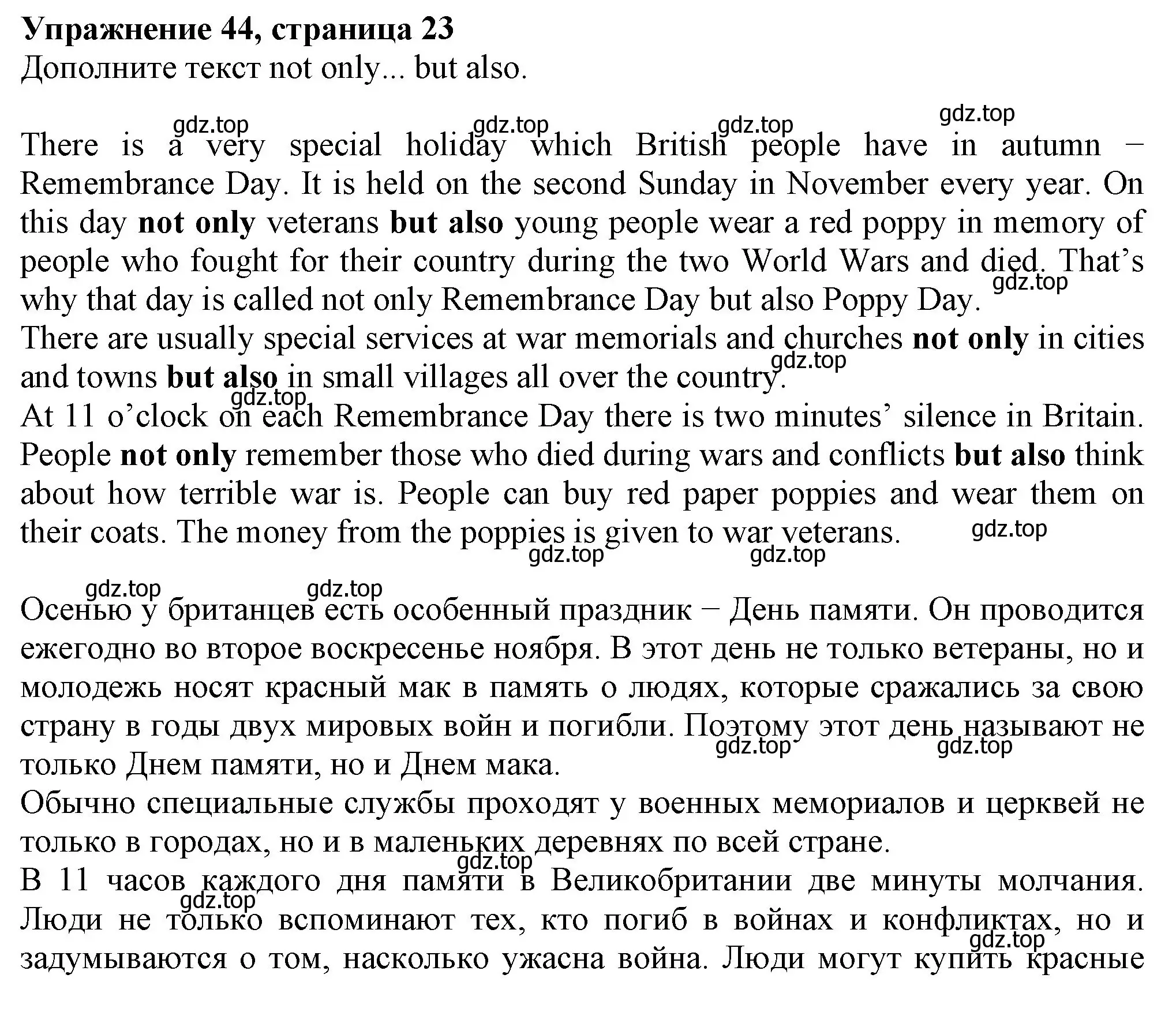 Решение номер 44 (страница 23) гдз по английскому языку 6 класс Биболетова, Денисенко, рабочая тетрадь