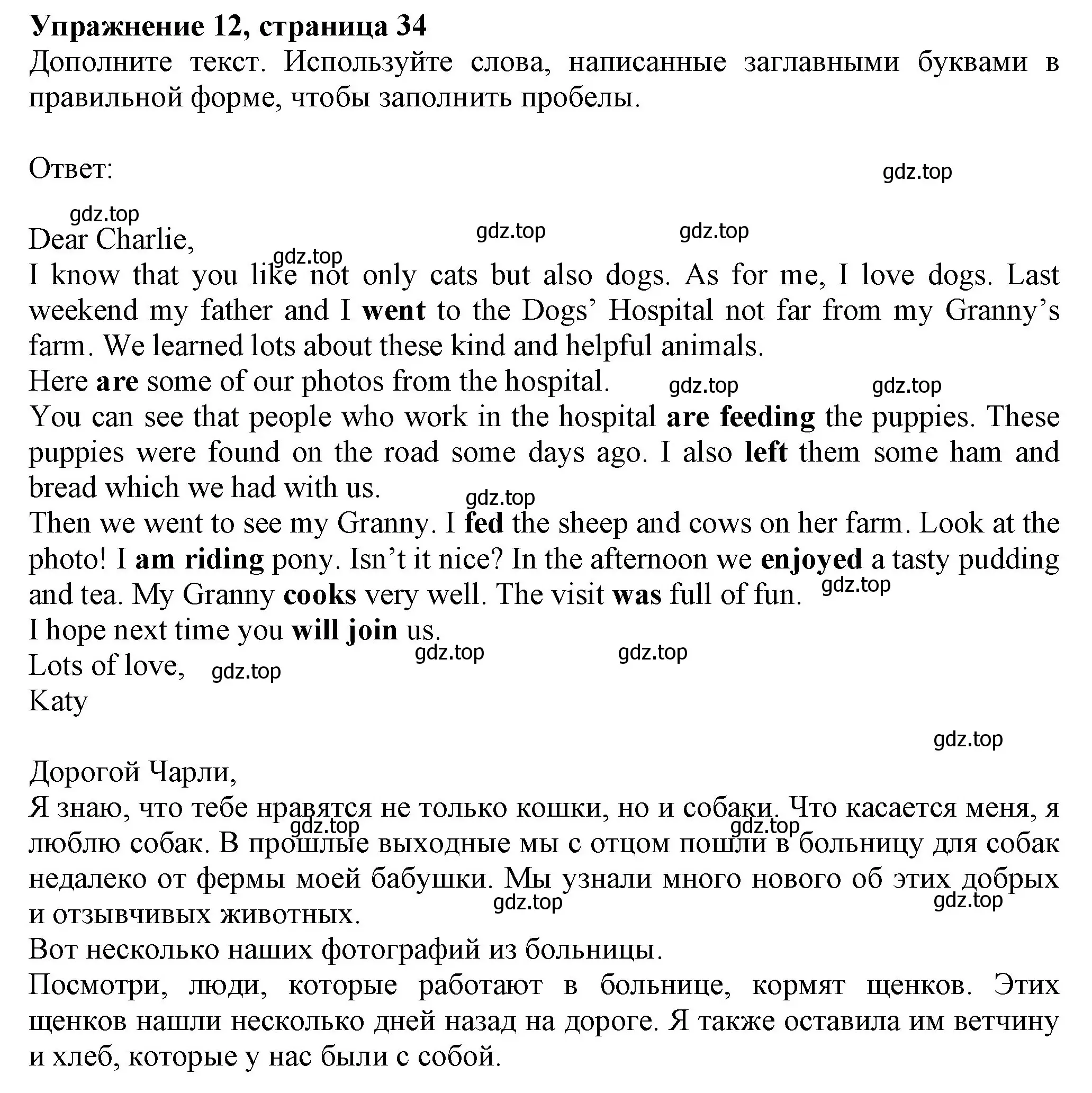 Решение номер 12 (страница 34) гдз по английскому языку 6 класс Биболетова, Денисенко, рабочая тетрадь