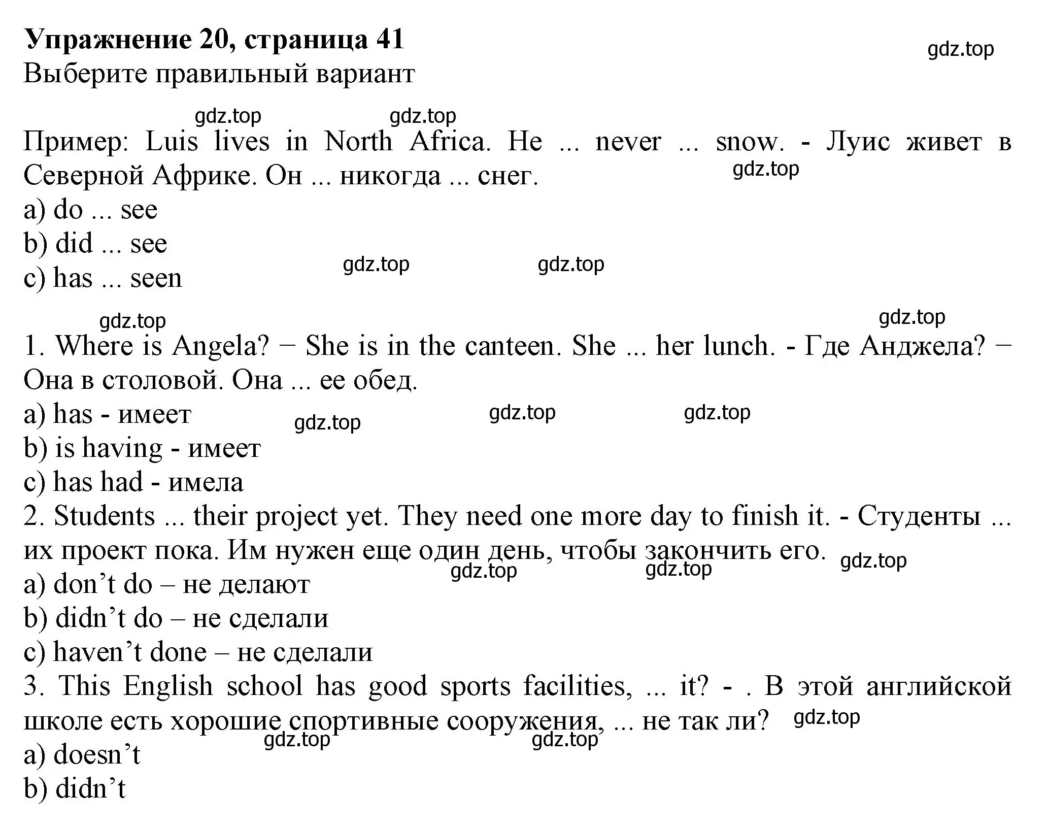 Решение номер 20 (страница 41) гдз по английскому языку 6 класс Биболетова, Денисенко, рабочая тетрадь