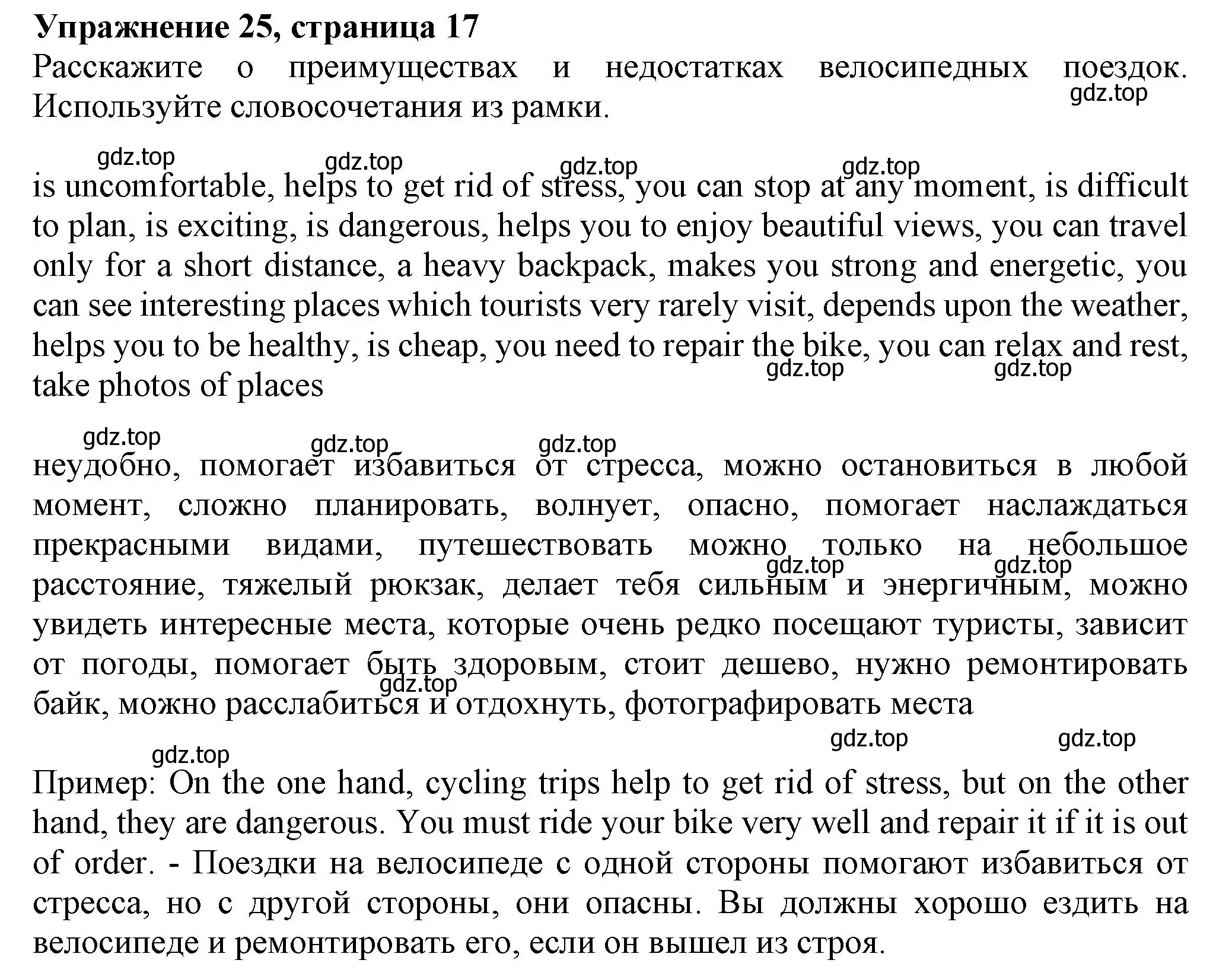 Решение номер 25 (страница 17) гдз по английскому языку 6 класс Биболетова, Денисенко, учебник