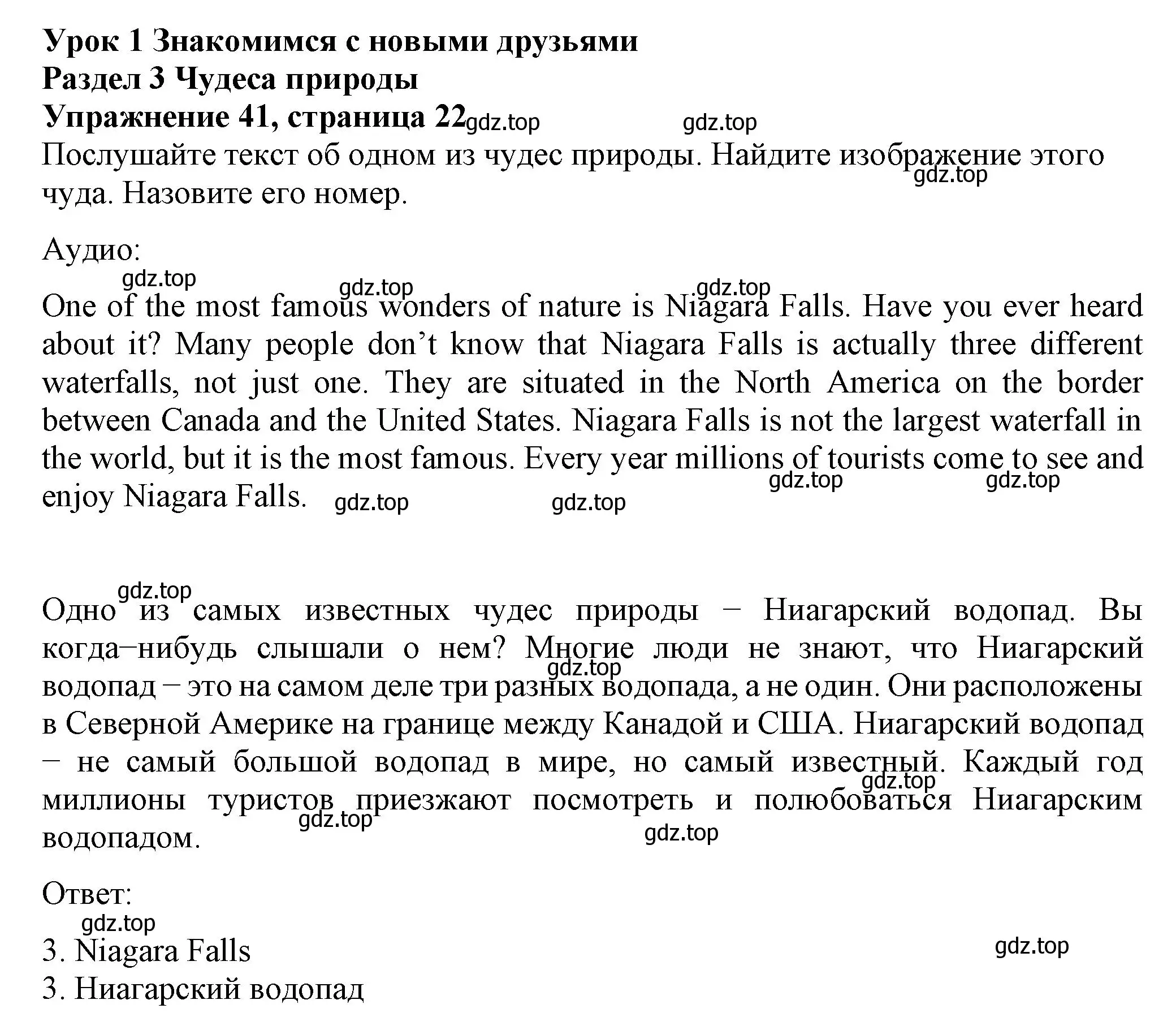 Решение номер 41 (страница 22) гдз по английскому языку 6 класс Биболетова, Денисенко, учебник