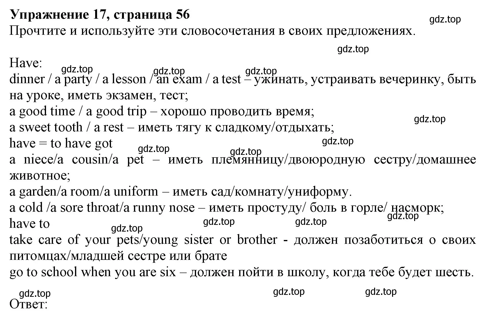 Решение номер 17 (страница 56) гдз по английскому языку 6 класс Биболетова, Денисенко, учебник