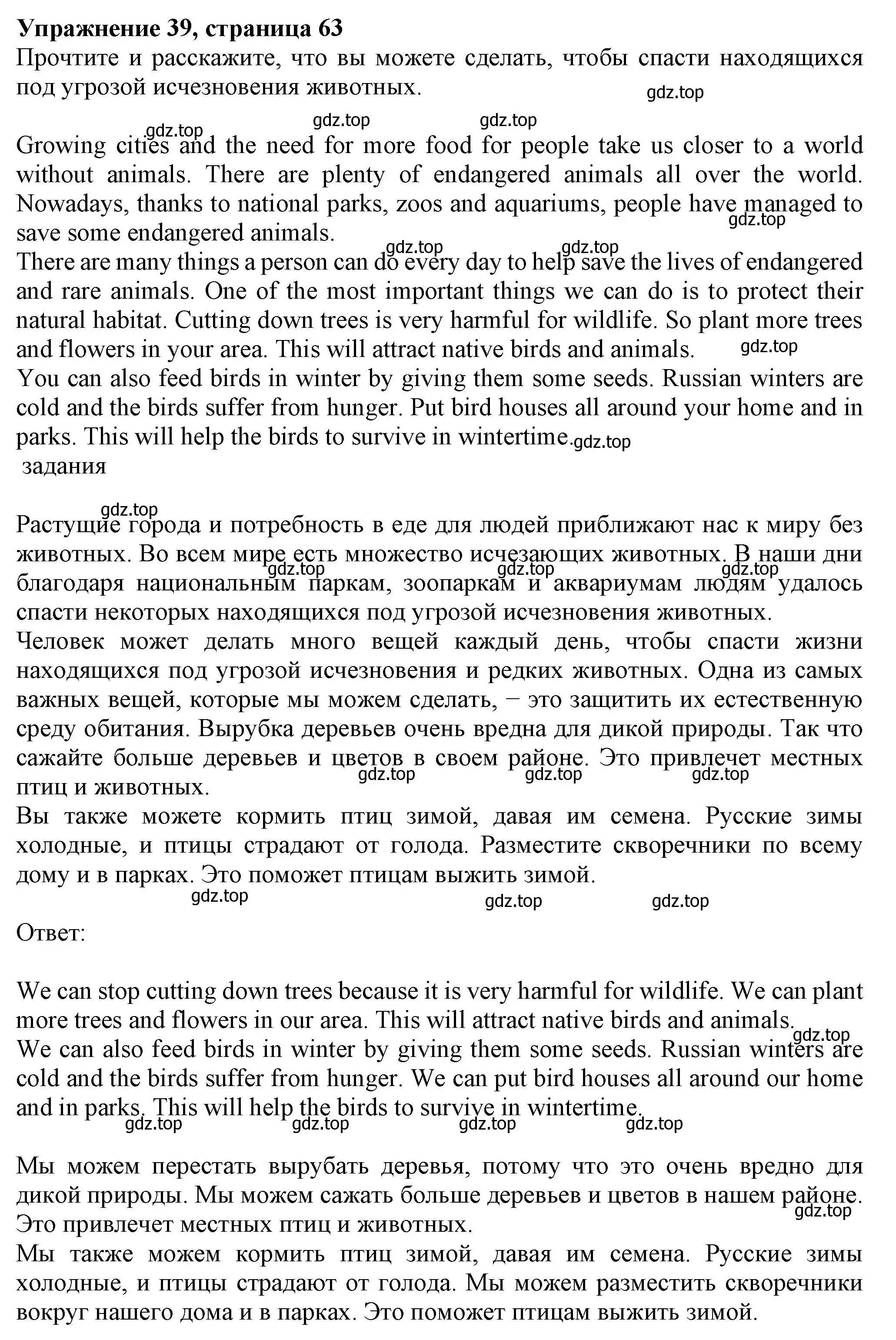 Решение номер 39 (страница 63) гдз по английскому языку 6 класс Биболетова, Денисенко, учебник