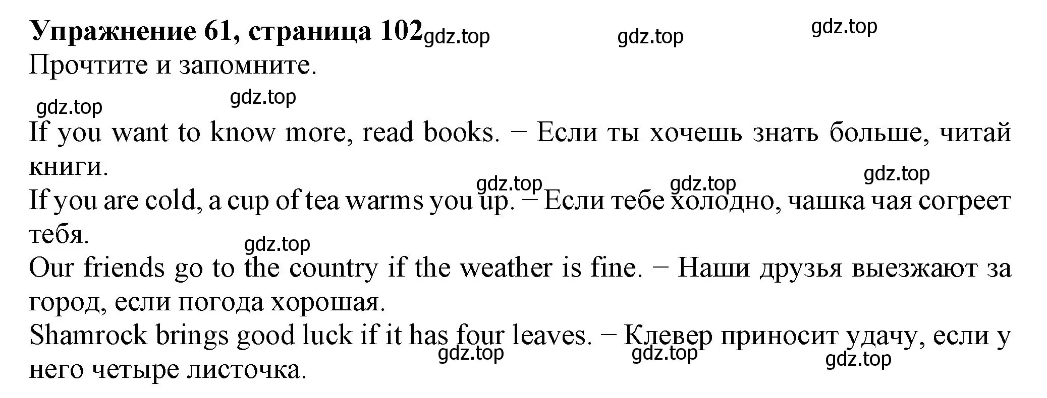 Решение номер 61 (страница 102) гдз по английскому языку 6 класс Биболетова, Денисенко, учебник