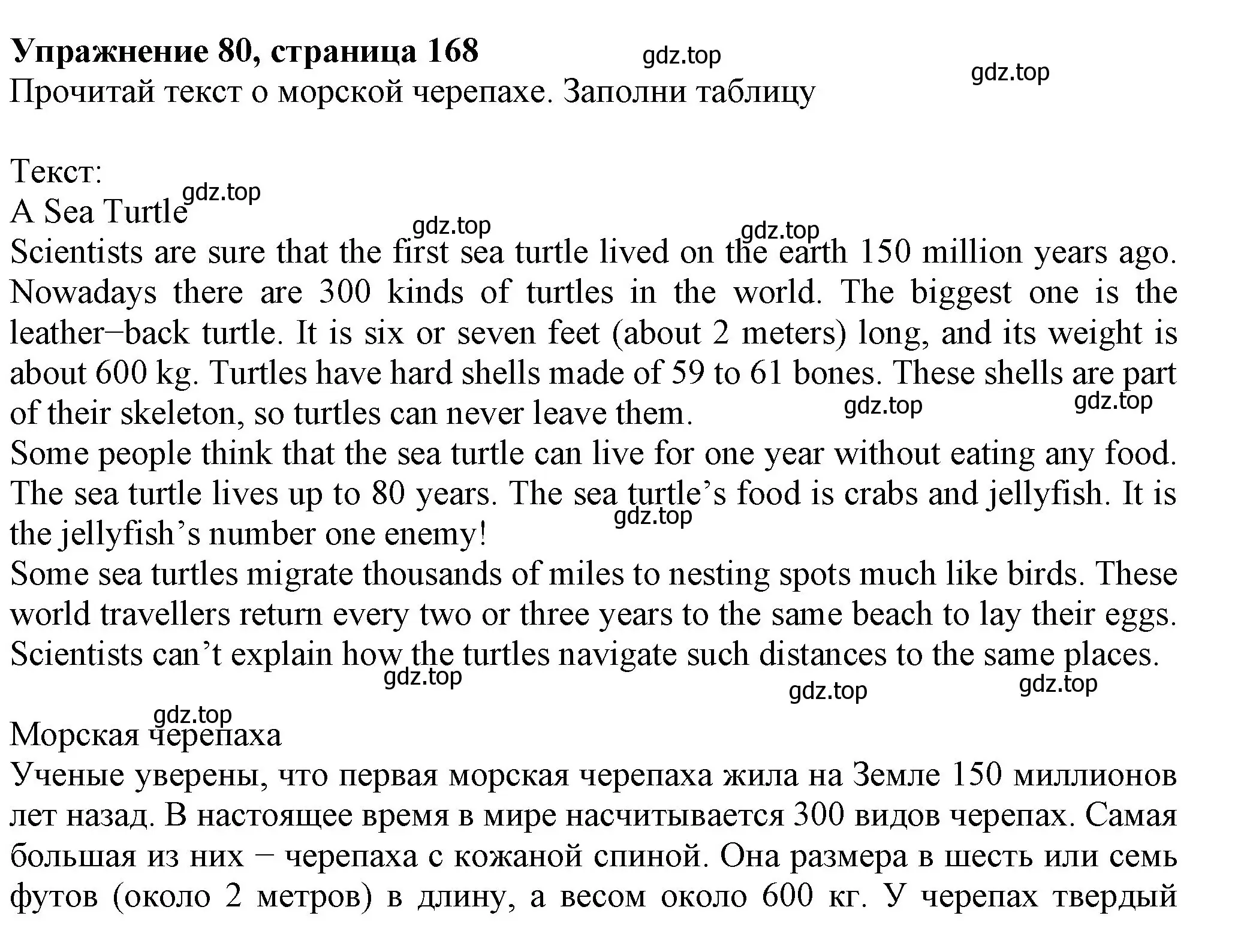 Решение номер 80 (страница 168) гдз по английскому языку 6 класс Биболетова, Денисенко, учебник