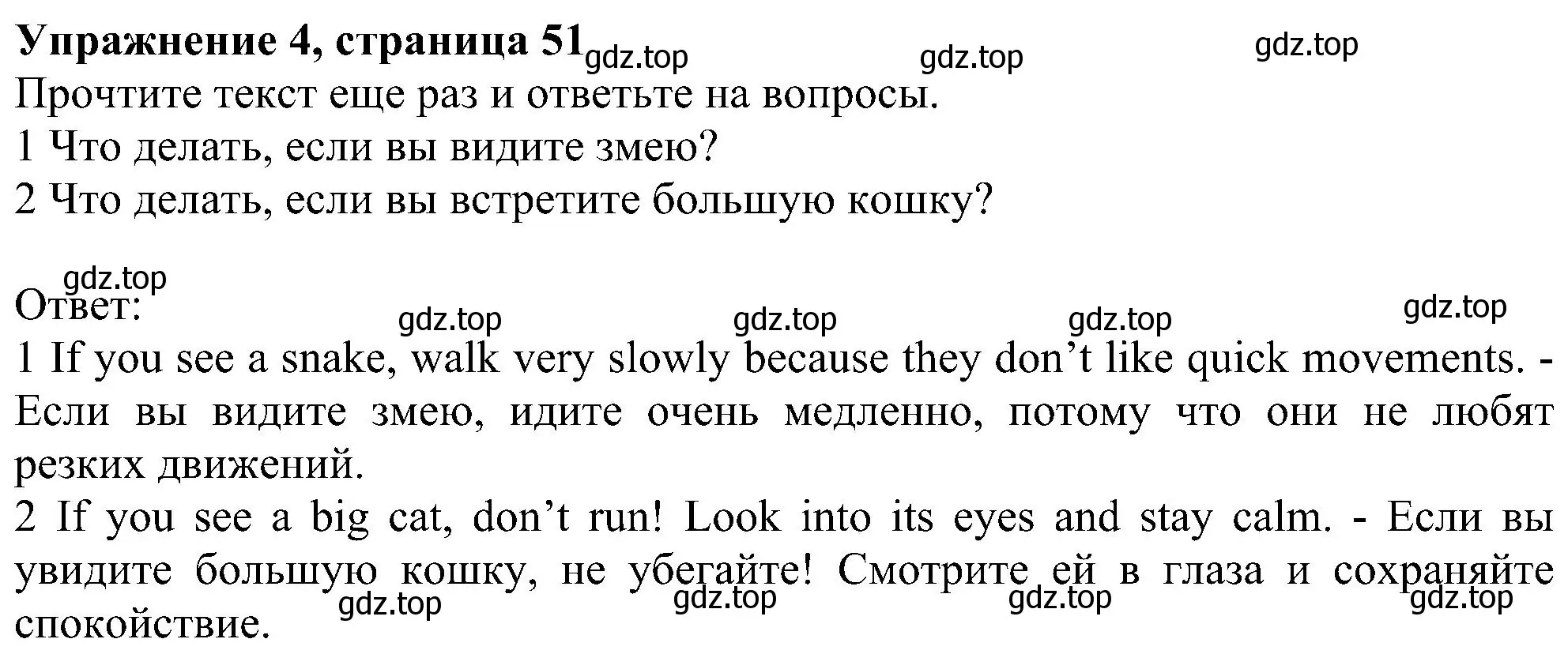 Решение номер 4 (страница 51) гдз по английскому языку 6 класс Комарова, Ларионова, рабочая тетрадь