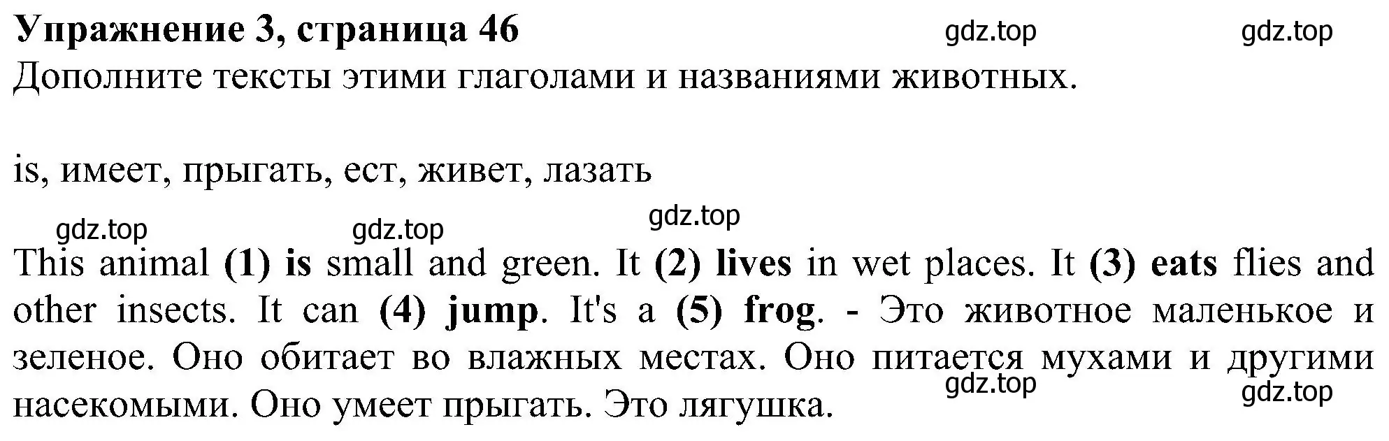 Решение номер 3 (страница 46) гдз по английскому языку 6 класс Комарова, Ларионова, рабочая тетрадь