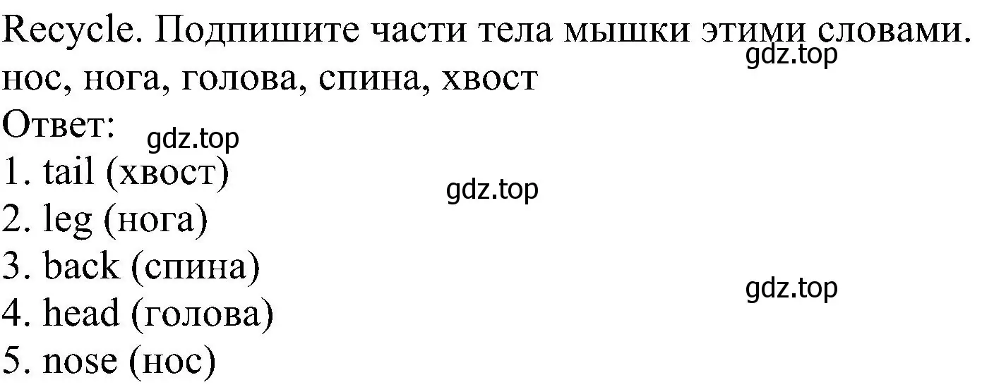 Решение  Recycle (страница 46) гдз по английскому языку 6 класс Комарова, Ларионова, рабочая тетрадь