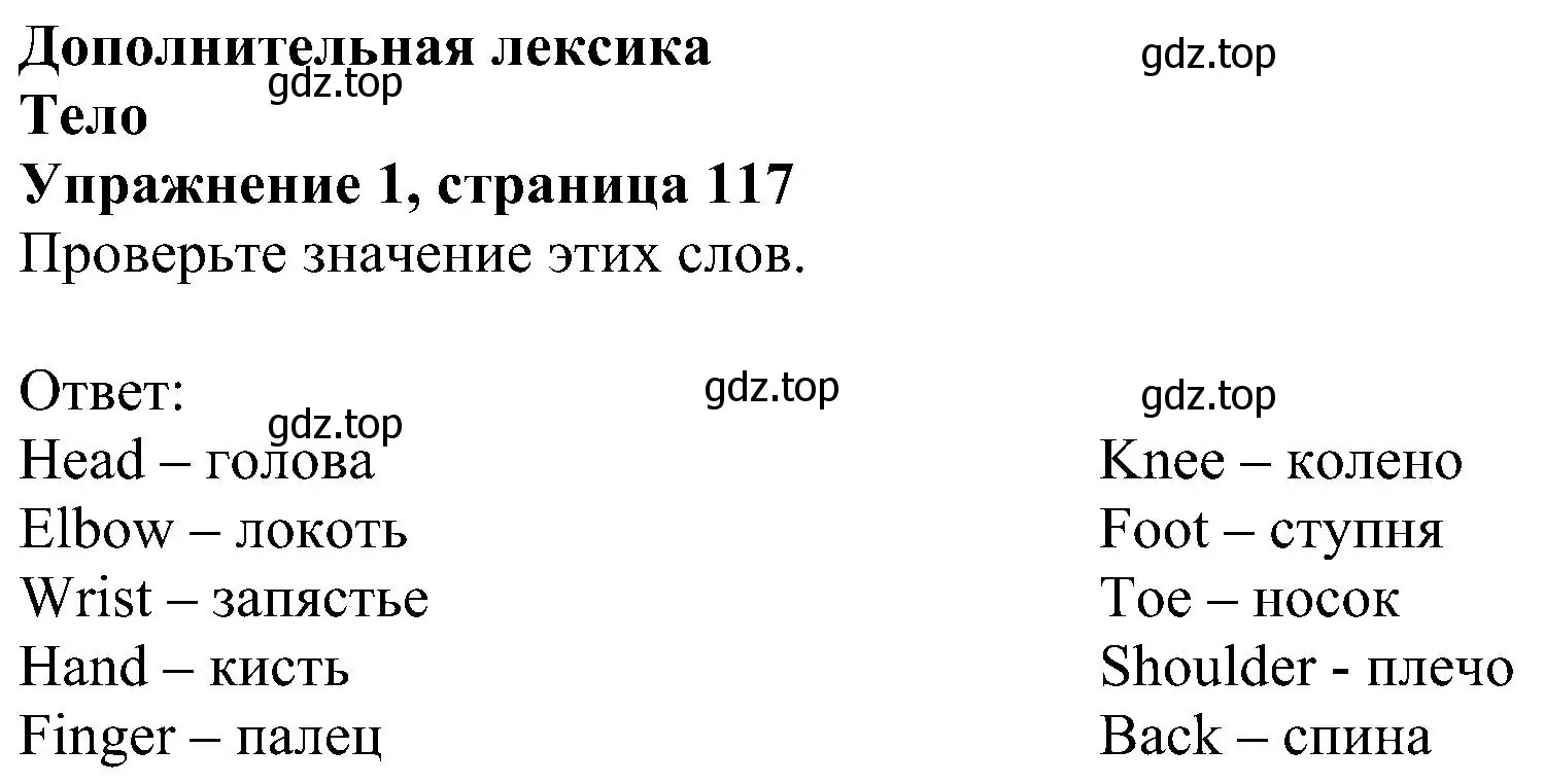 Решение номер 1 (страница 117) гдз по английскому языку 6 класс Комарова, Ларионова, рабочая тетрадь