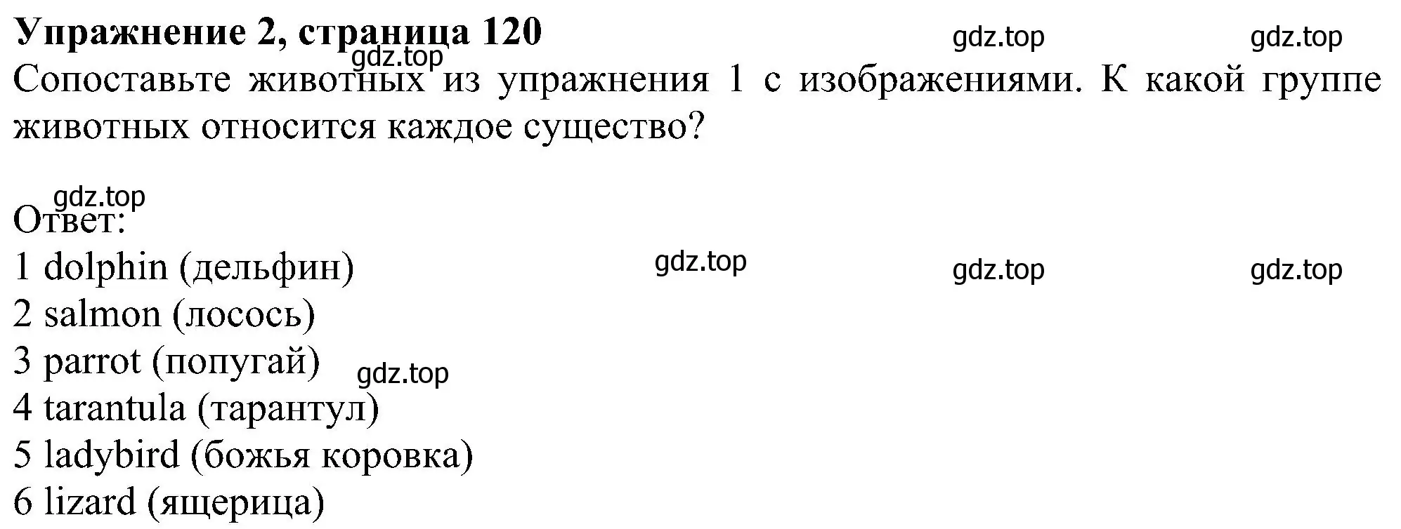 Решение номер 2 (страница 120) гдз по английскому языку 6 класс Комарова, Ларионова, рабочая тетрадь