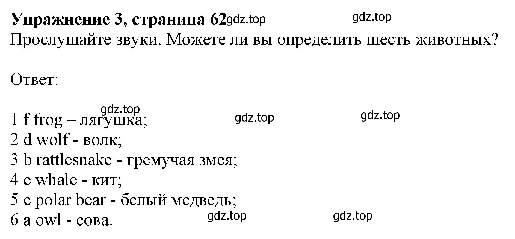 Решение номер 3 (страница 62) гдз по английскому языку 6 класс Комарова, Ларионова, учебник