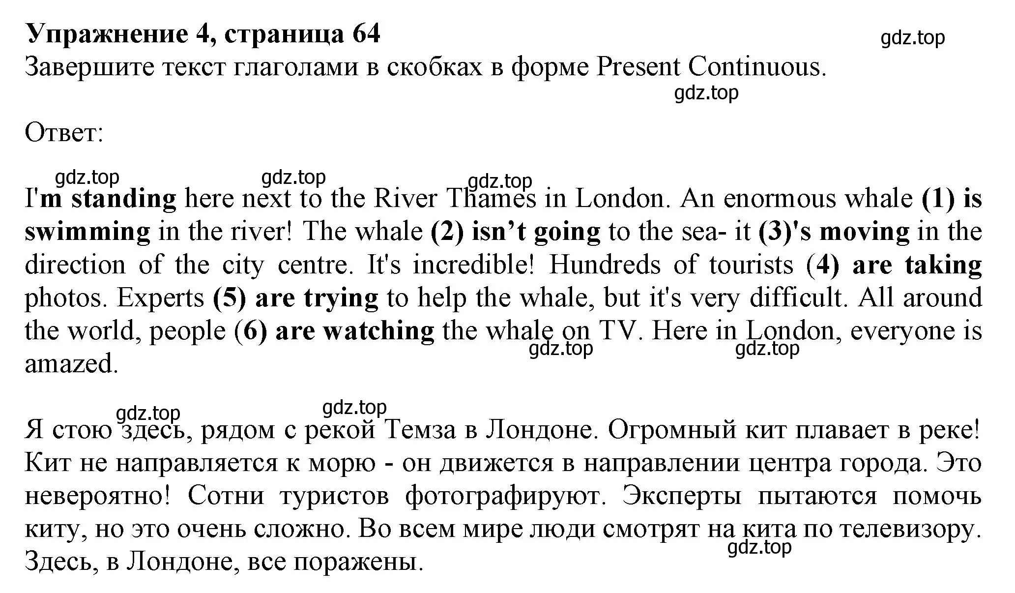 Решение номер 4 (страница 64) гдз по английскому языку 6 класс Комарова, Ларионова, учебник