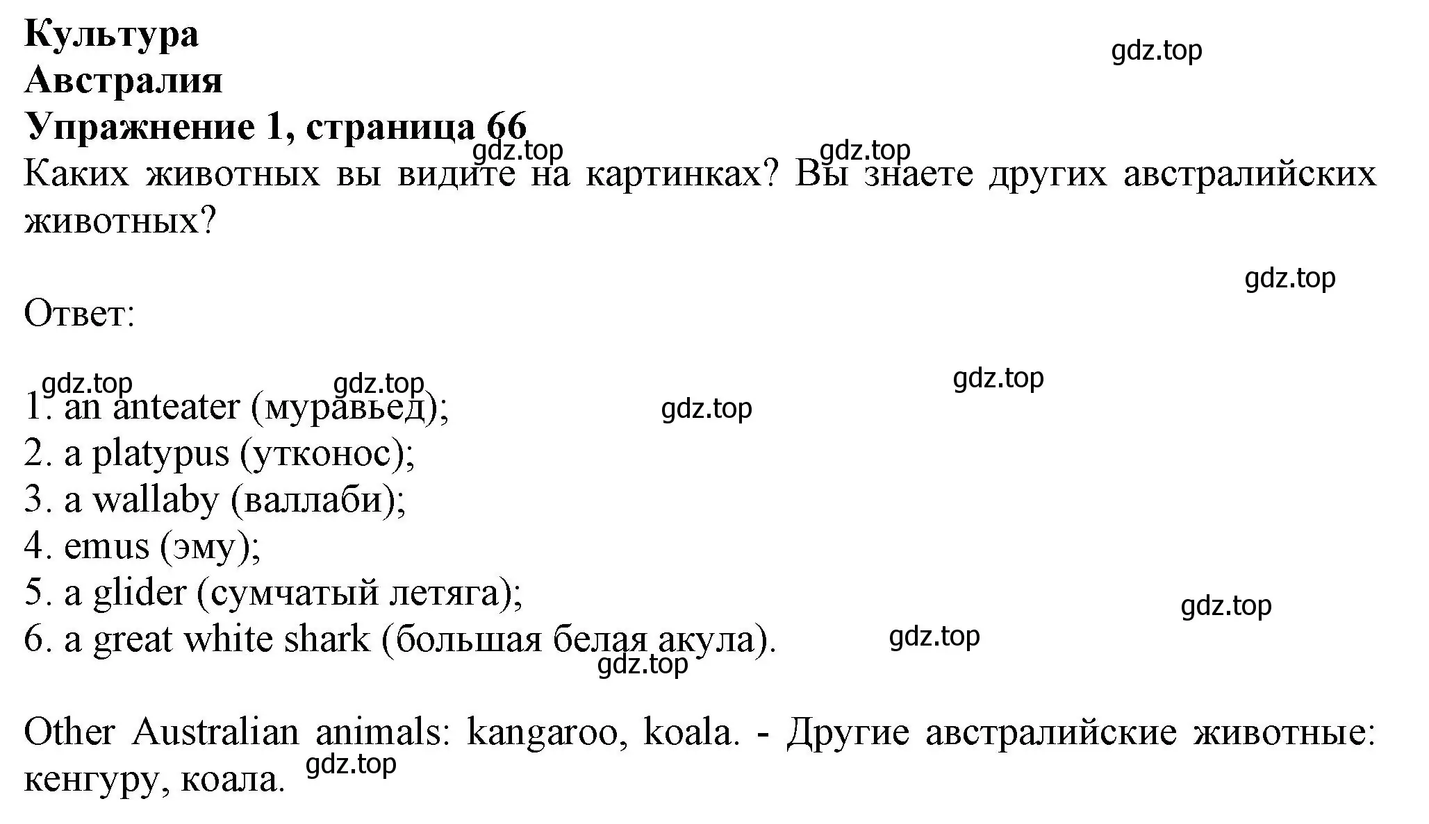 Решение номер 1 (страница 66) гдз по английскому языку 6 класс Комарова, Ларионова, учебник