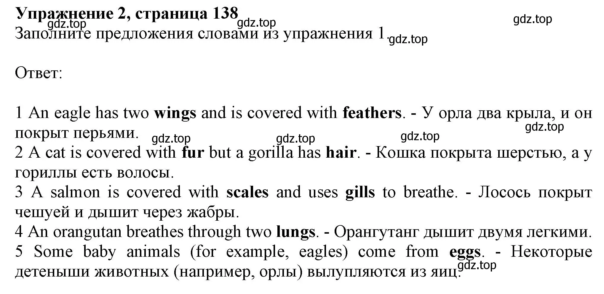 Решение номер 2 (страница 138) гдз по английскому языку 6 класс Комарова, Ларионова, учебник