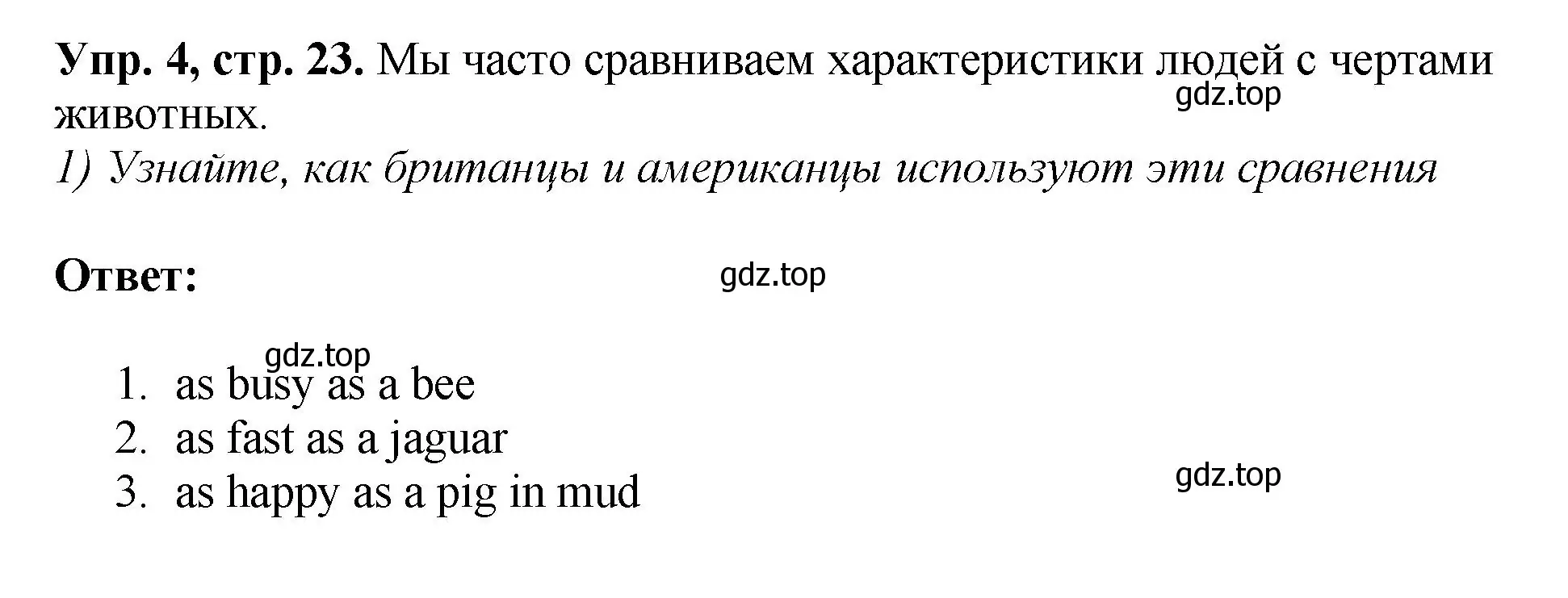 Решение номер 4 (страница 23) гдз по английскому языку 6 класс Кузовлев, Лапа, рабочая тетрадь