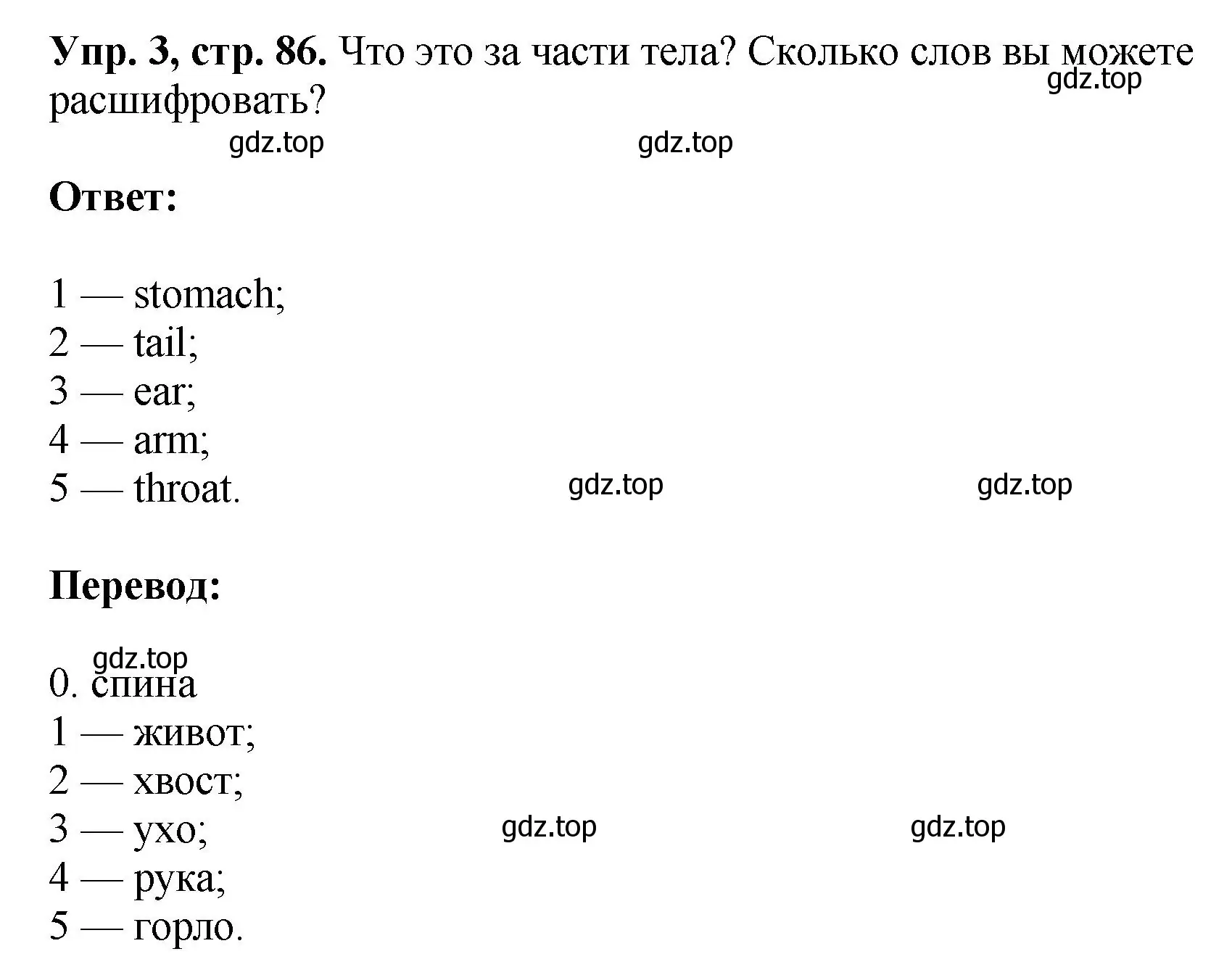 Решение номер 3 (страница 86) гдз по английскому языку 6 класс Кузовлев, Лапа, рабочая тетрадь