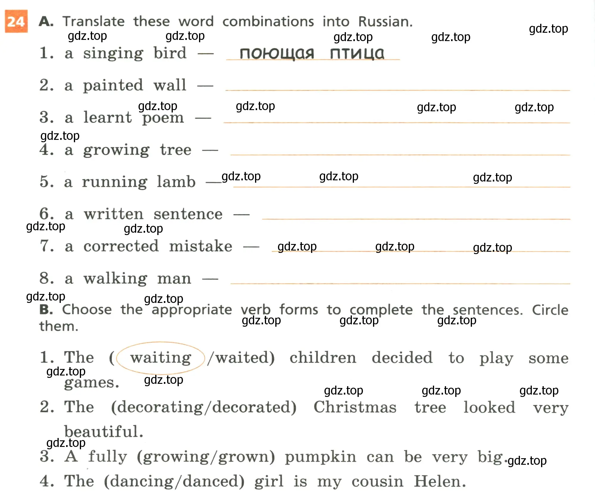 Условие номер 24 (страница 62) гдз по английскому языку 6 класс Афанасьева, Михеева, рабочая тетрадь