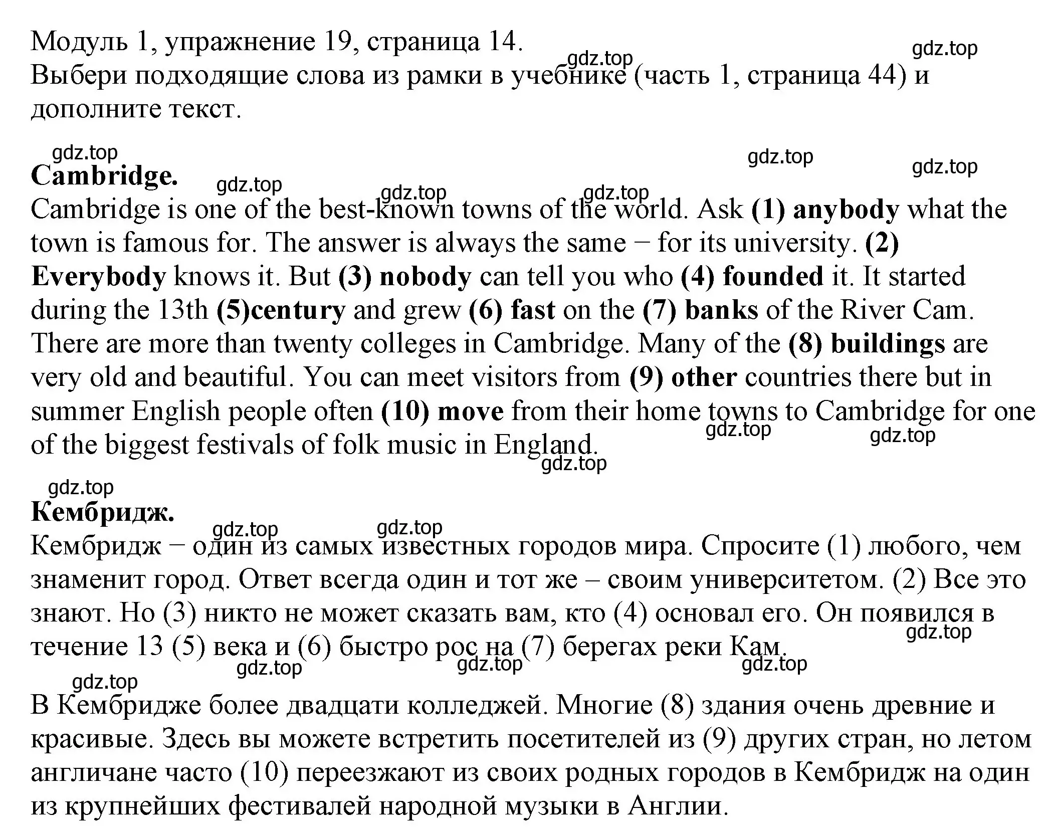 Решение номер 19 (страница 14) гдз по английскому языку 6 класс Афанасьева, Михеева, рабочая тетрадь