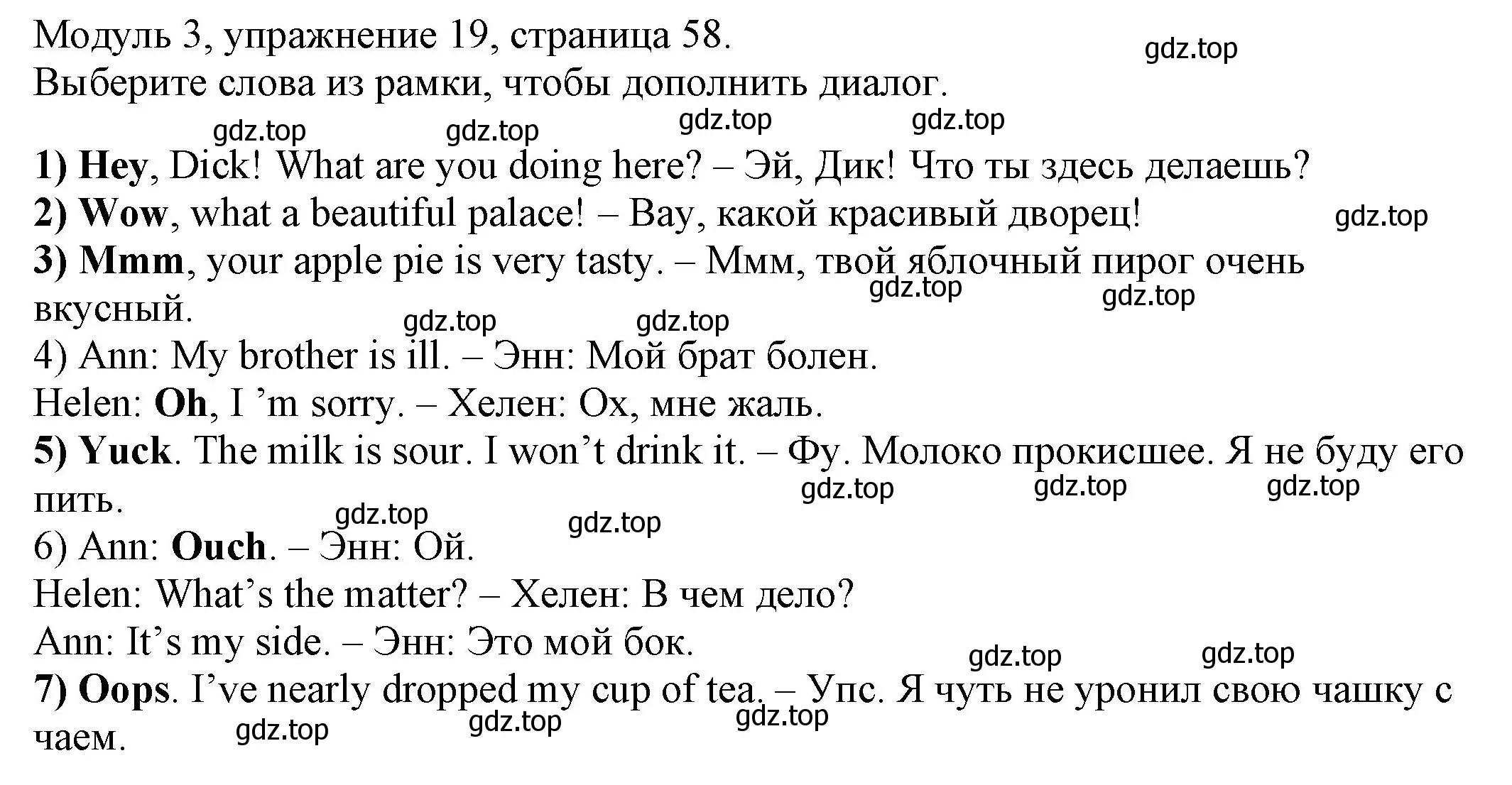 Решение номер 19 (страница 58) гдз по английскому языку 6 класс Афанасьева, Михеева, рабочая тетрадь