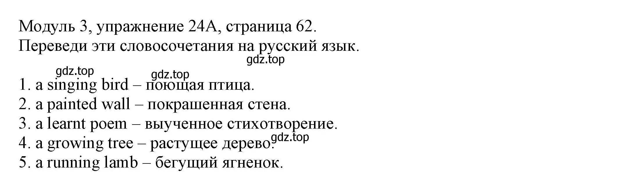 Решение номер 24 (страница 62) гдз по английскому языку 6 класс Афанасьева, Михеева, рабочая тетрадь