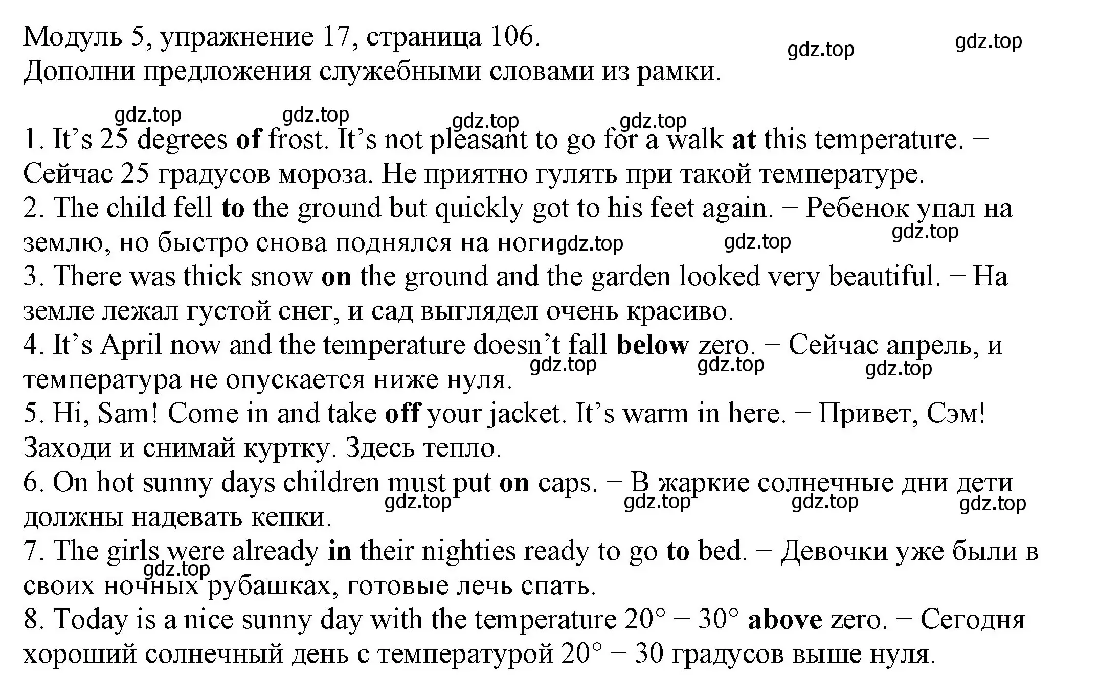 Решение номер 17 (страница 106) гдз по английскому языку 6 класс Афанасьева, Михеева, рабочая тетрадь