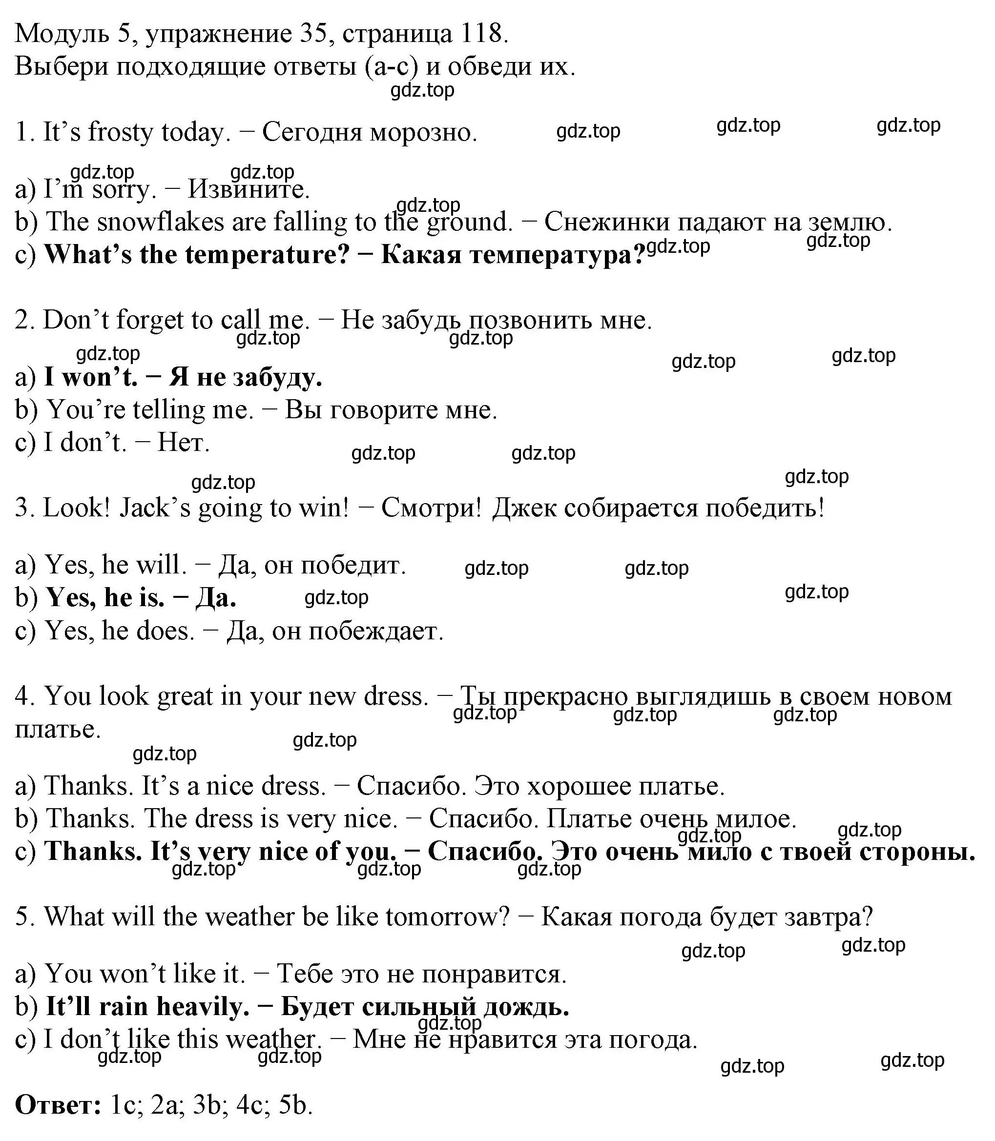 Решение номер 35 (страница 118) гдз по английскому языку 6 класс Афанасьева, Михеева, рабочая тетрадь