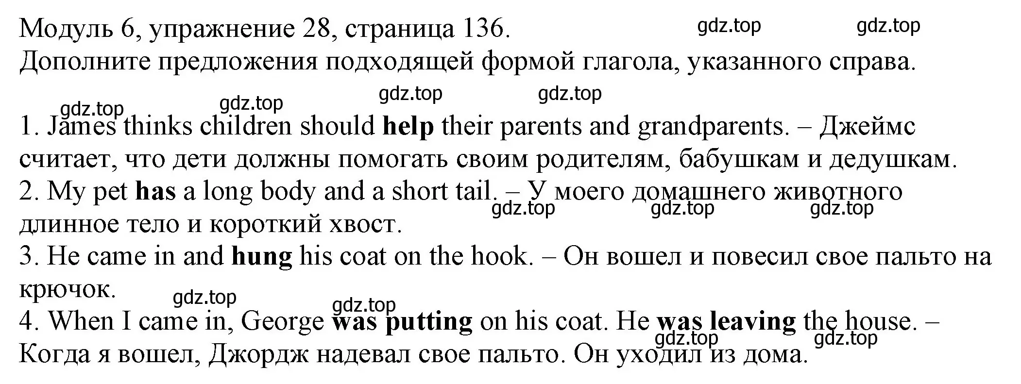 Решение номер 28 (страница 136) гдз по английскому языку 6 класс Афанасьева, Михеева, рабочая тетрадь