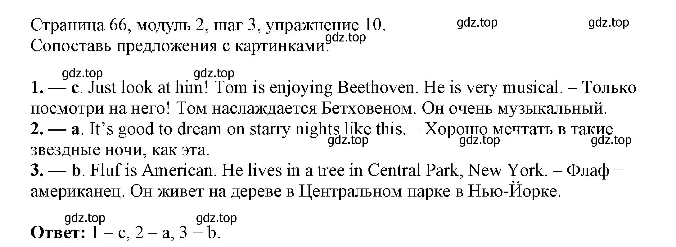 Решение номер 10 (страница 66) гдз по английскому языку 6 класс Афанасьева, Михеева, учебник 1 часть
