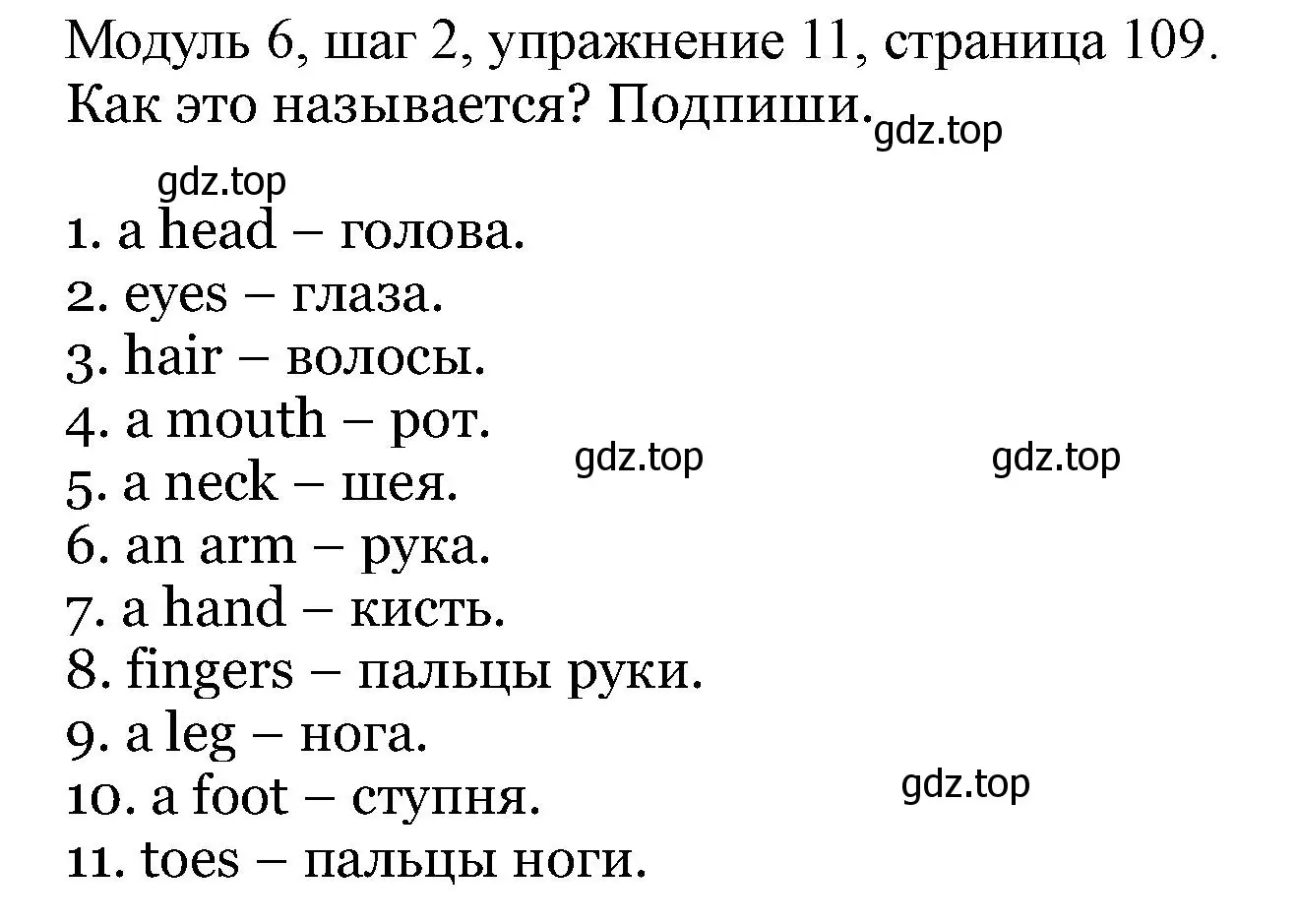 Решение номер 11 (страница 109) гдз по английскому языку 6 класс Афанасьева, Михеева, учебник 2 часть