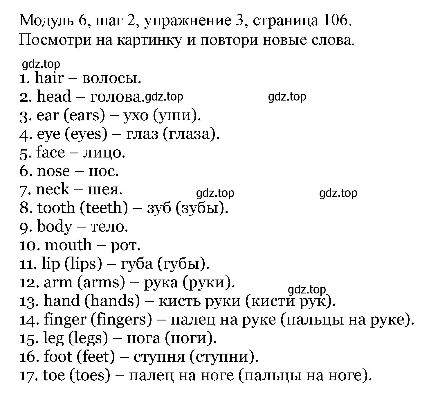 Решение номер 3 (страница 106) гдз по английскому языку 6 класс Афанасьева, Михеева, учебник 2 часть