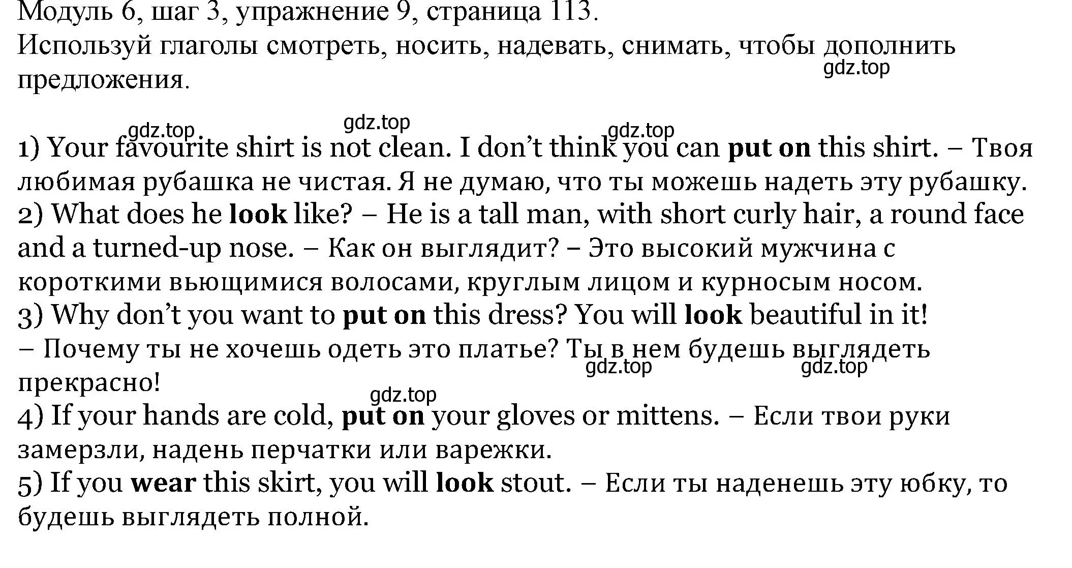 Решение номер 10 (страница 113) гдз по английскому языку 6 класс Афанасьева, Михеева, учебник 2 часть