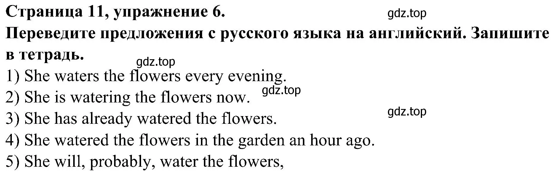 Решение номер 6 (страница 11) гдз по английскому языку 6 класс Тимофеева, грамматический тренажёр