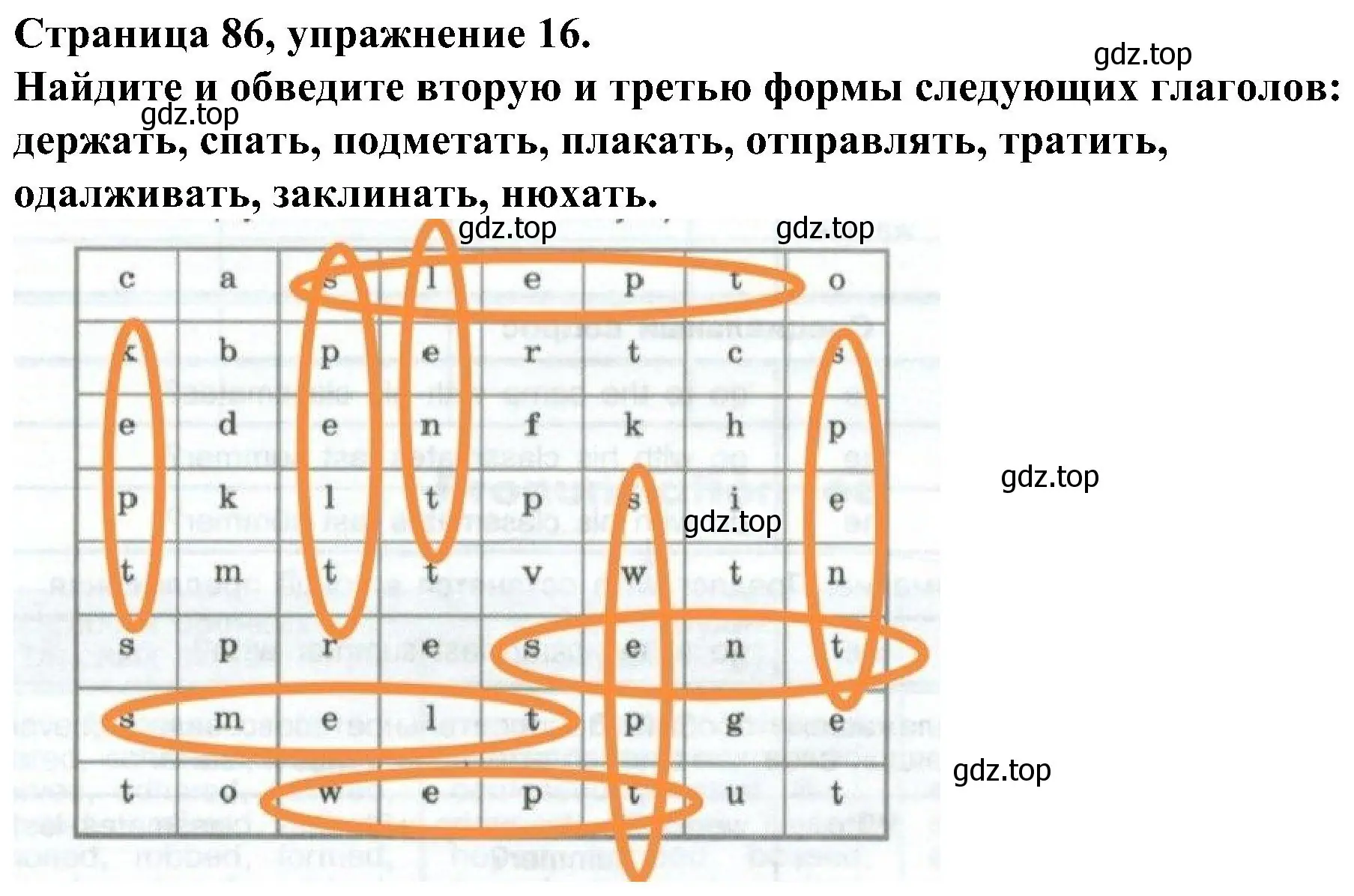 Решение номер 16 (страница 86) гдз по английскому языку 6 класс Тимофеева, грамматический тренажёр