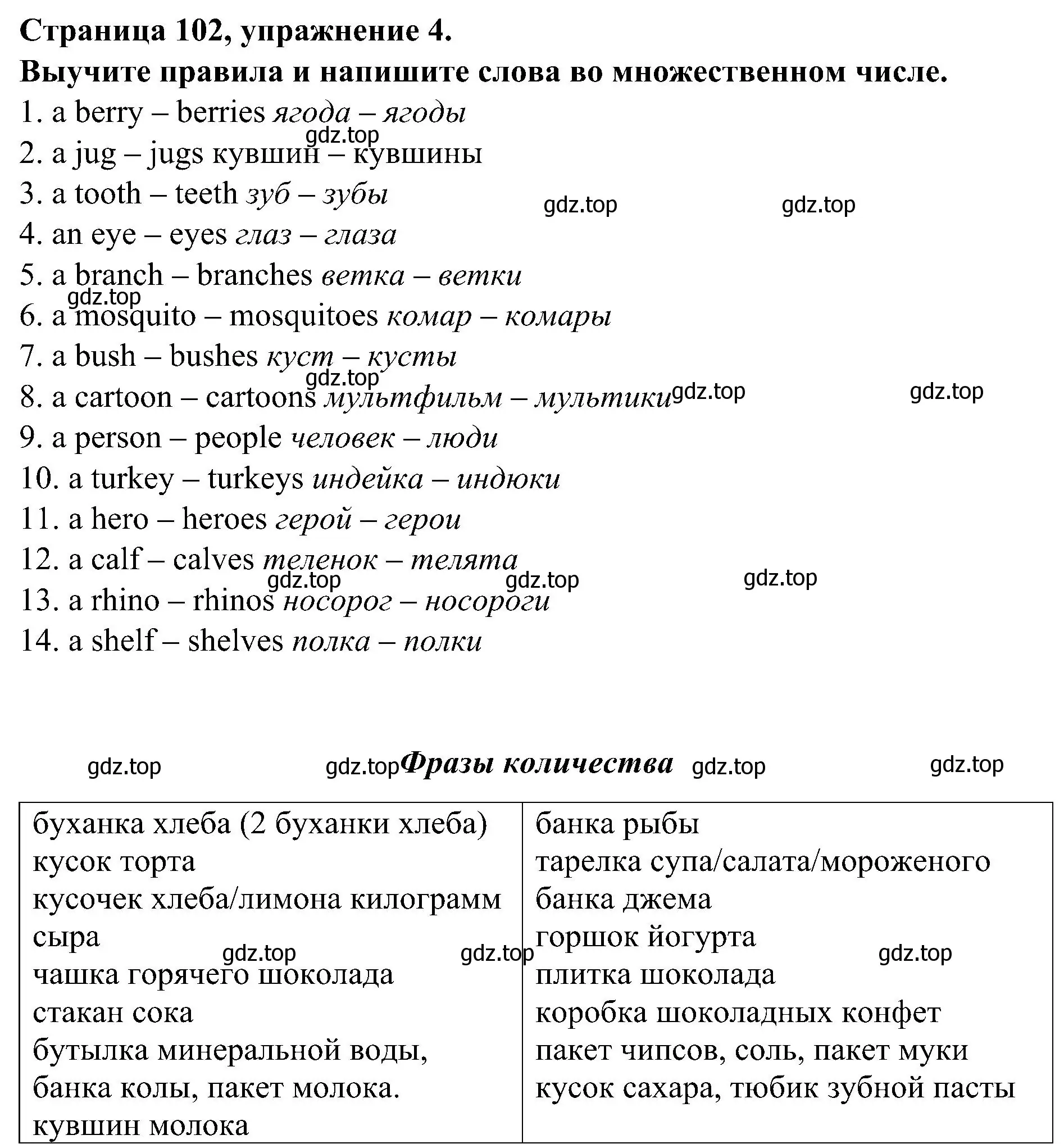 Решение номер 4 (страница 102) гдз по английскому языку 6 класс Тимофеева, грамматический тренажёр