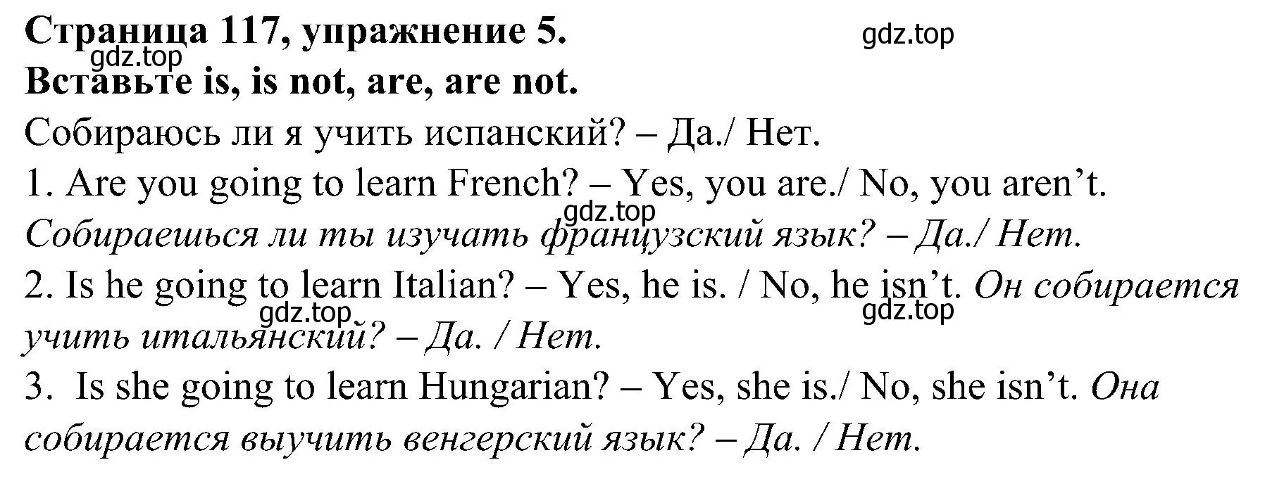 Решение номер 5 (страница 117) гдз по английскому языку 6 класс Тимофеева, грамматический тренажёр