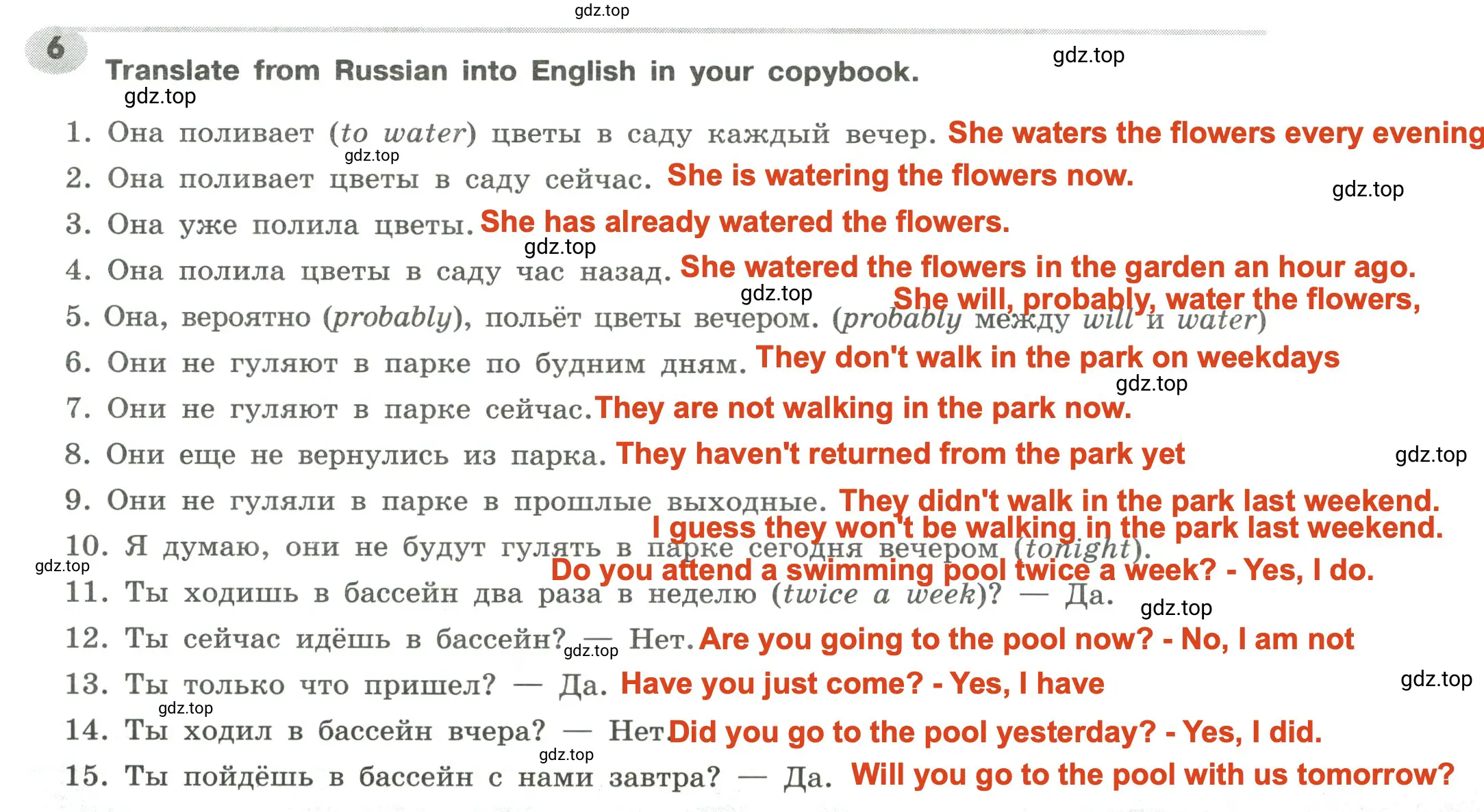 Решение 2. номер 6 (страница 11) гдз по английскому языку 6 класс Тимофеева, грамматический тренажёр