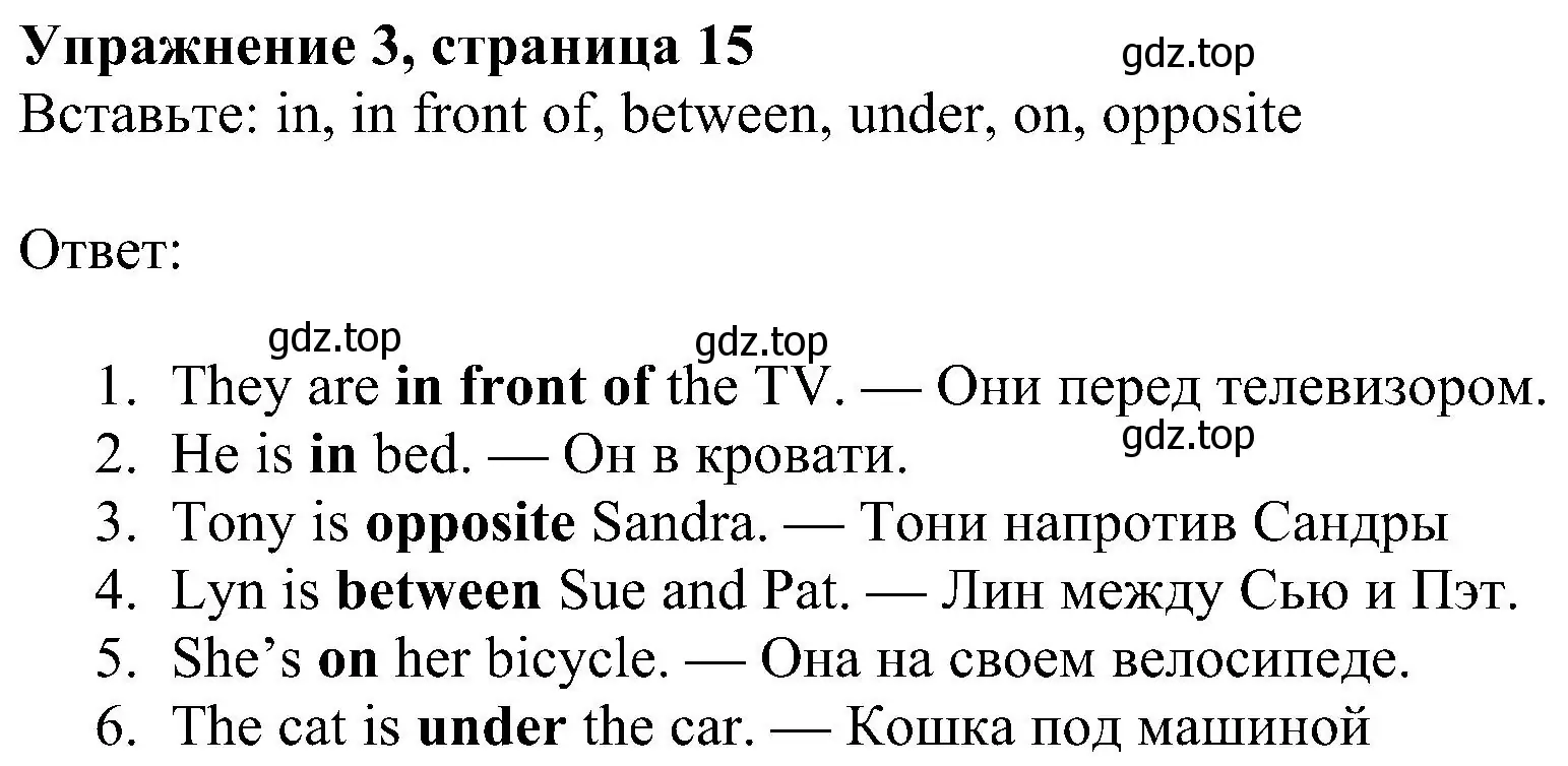 Решение номер 3 (страница 15) гдз по английскому языку 6 класс Ваулина, Дули, рабочая тетрадь