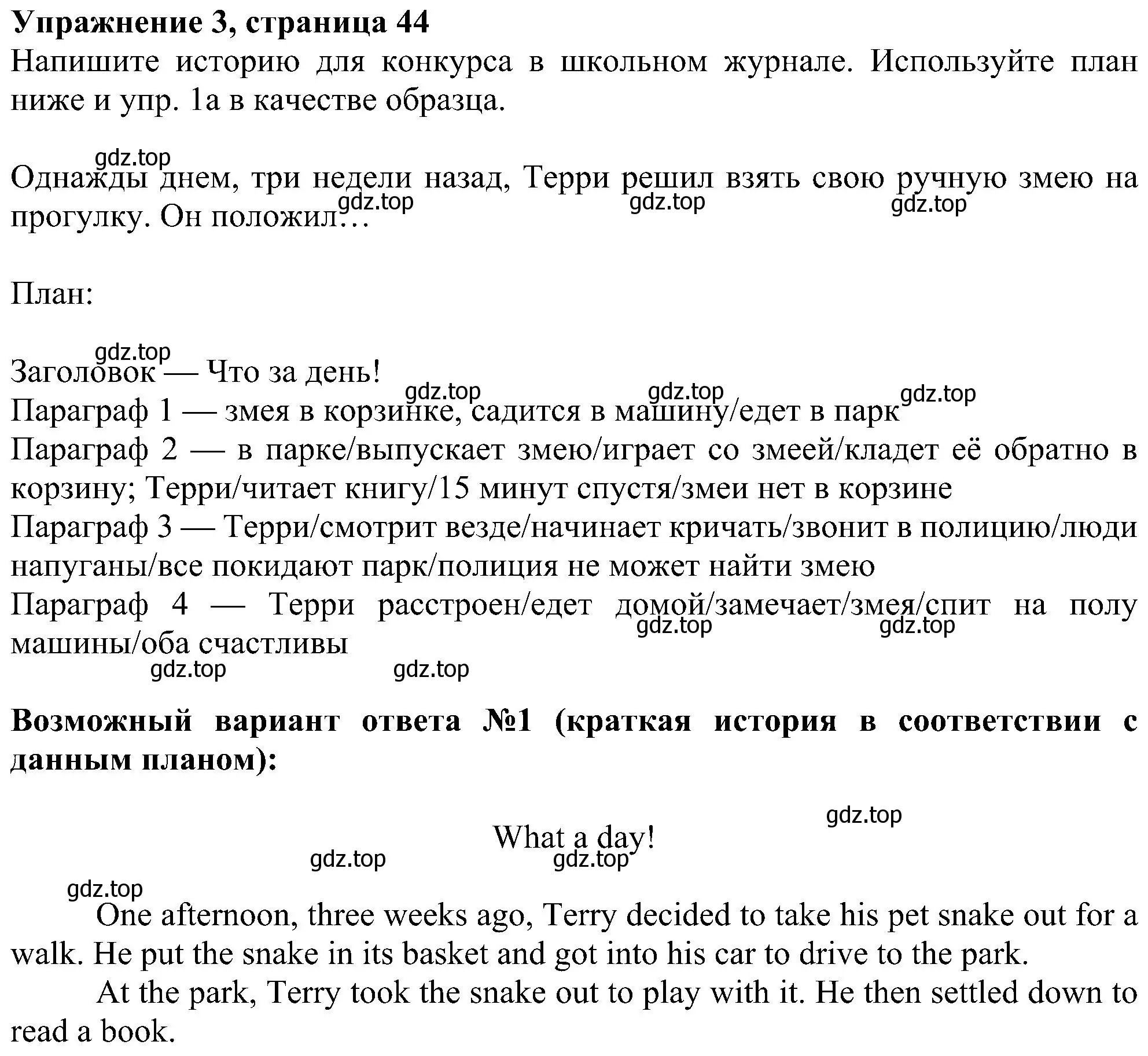 Решение номер 3 (страница 44) гдз по английскому языку 6 класс Ваулина, Дули, рабочая тетрадь